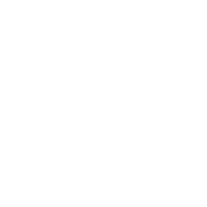 Cabins Icon