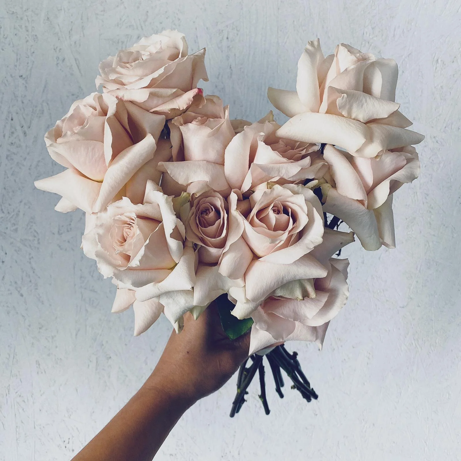 Eight Stems Florist - Recognition.jpg