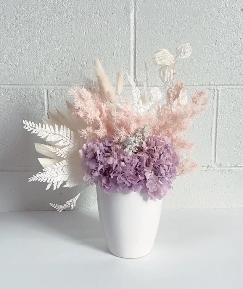 Everlasting Floral 'SORBET'