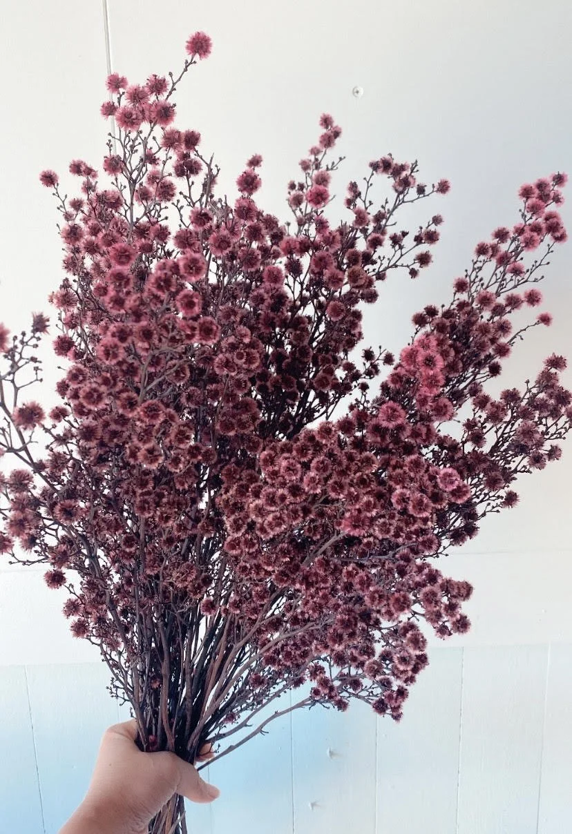 Everlasting Flowers Dried Flowers Dried Floral Bouquets Canberra