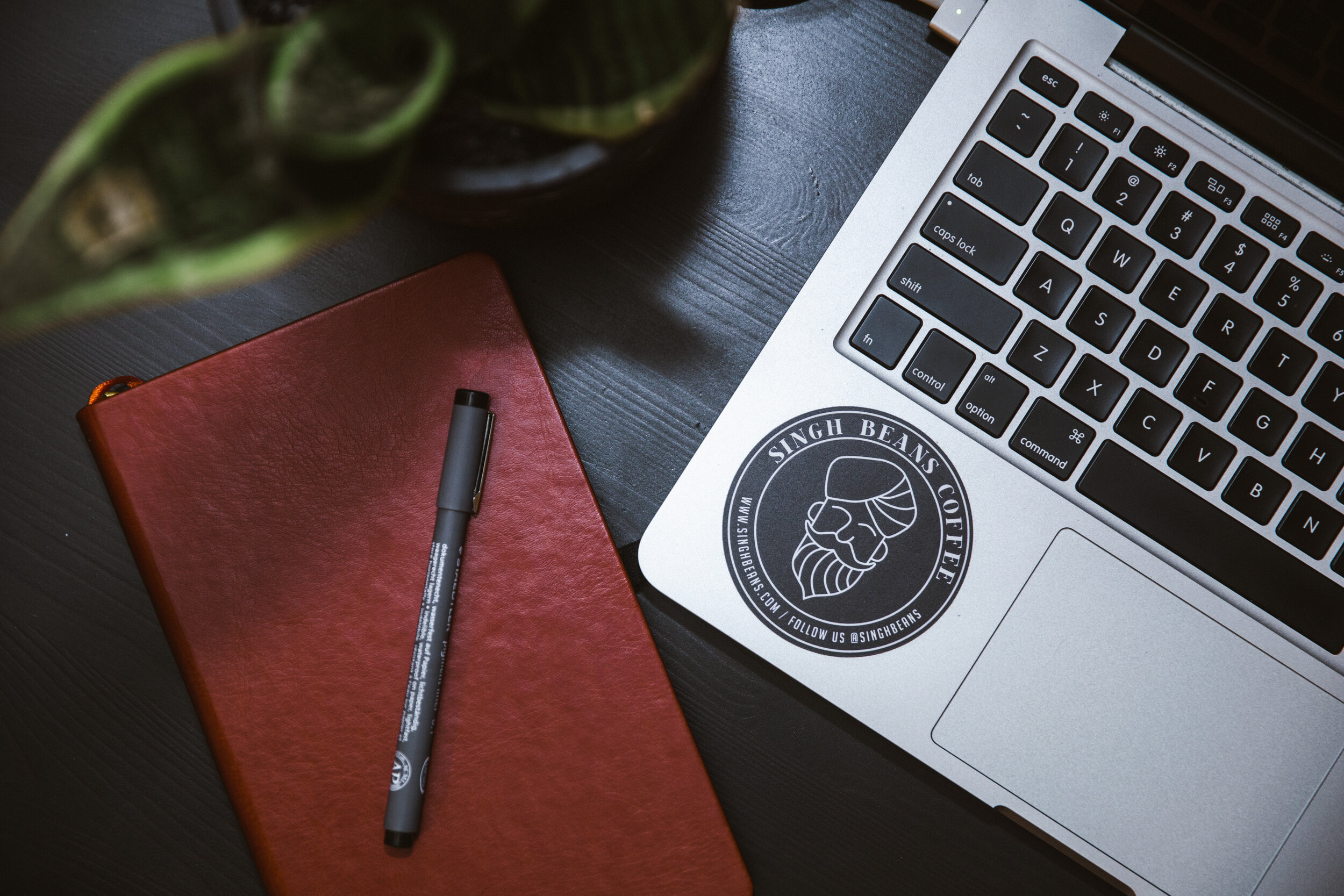 Interview with araremoon