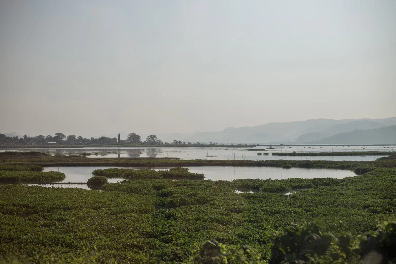 A landscape with water and green vegetation in the foreground, distant trees and hills in the background, and a hazy sky.