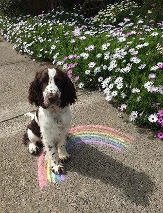 The sublime in a time of COVID