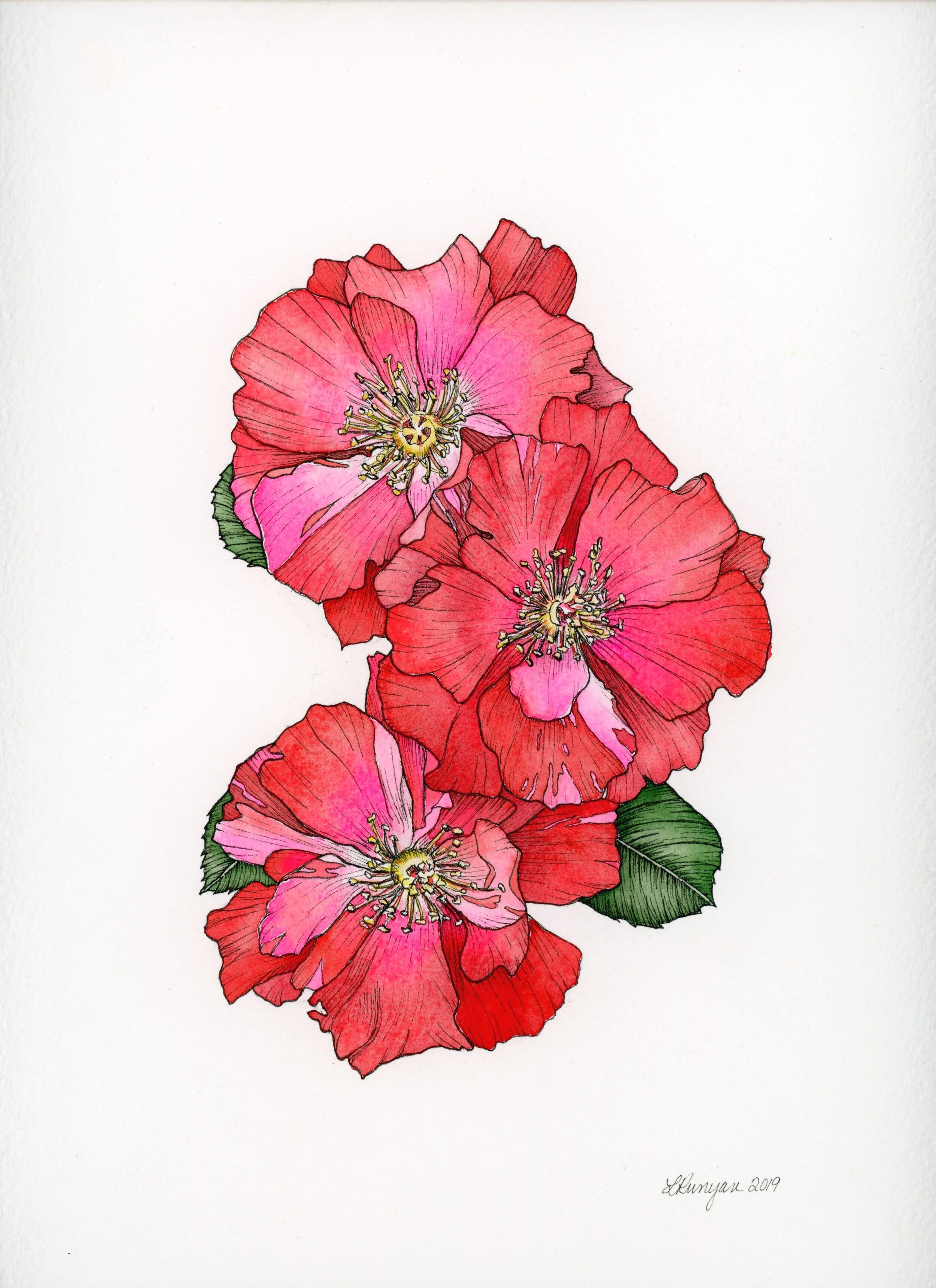 Rose+Trio+Original003.jpg