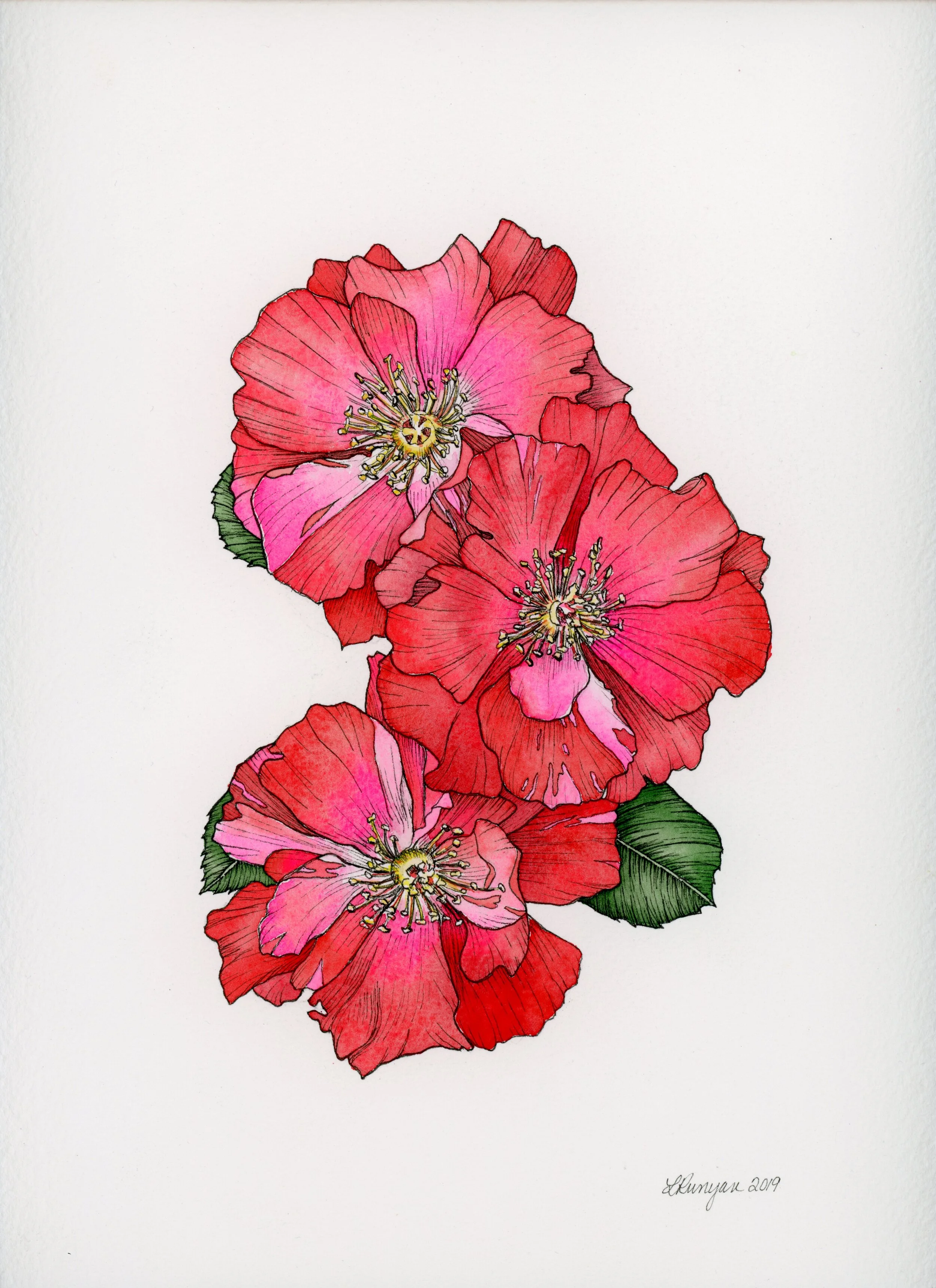 Red Rose Trio 