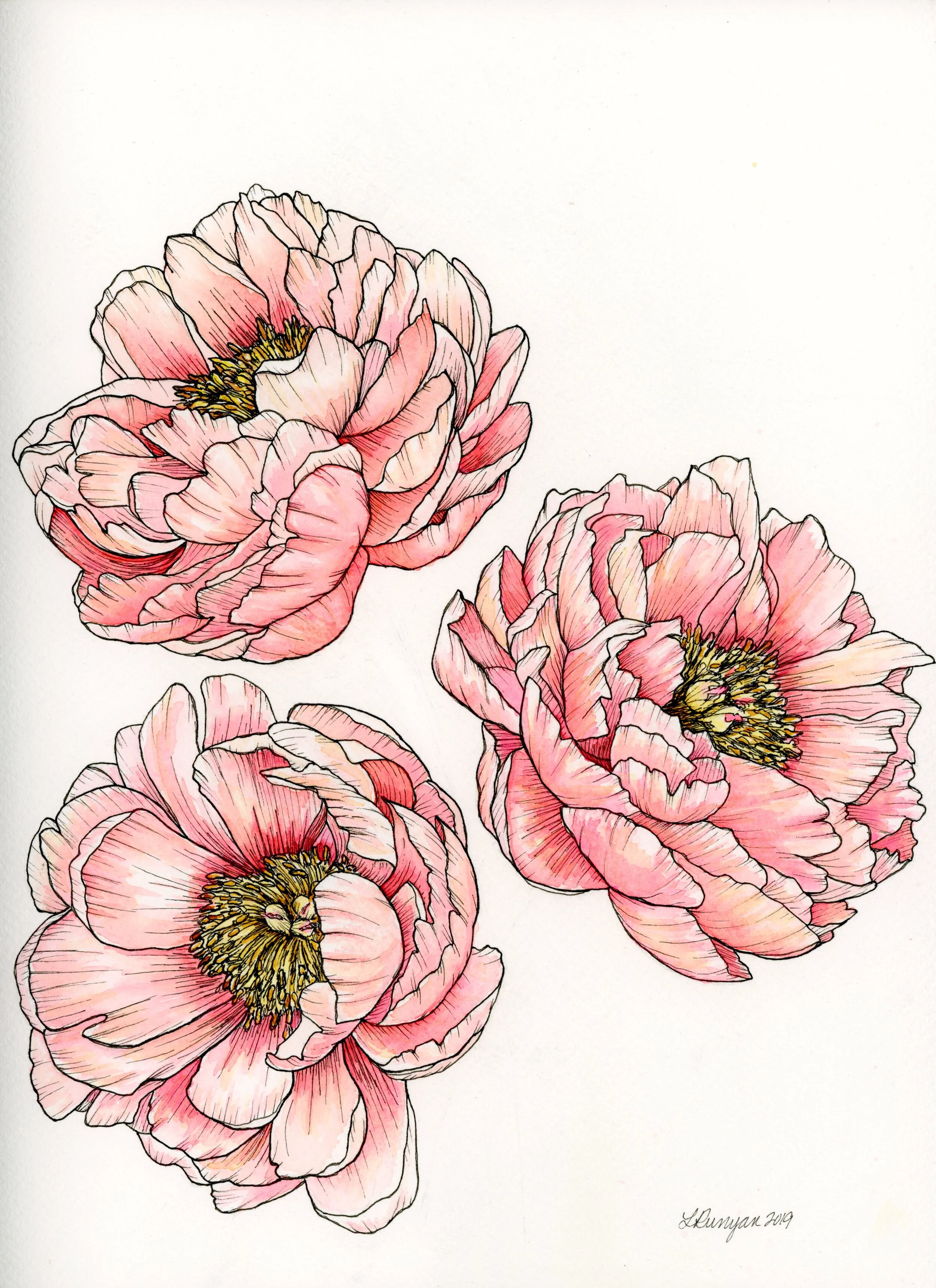 Peony Dance 