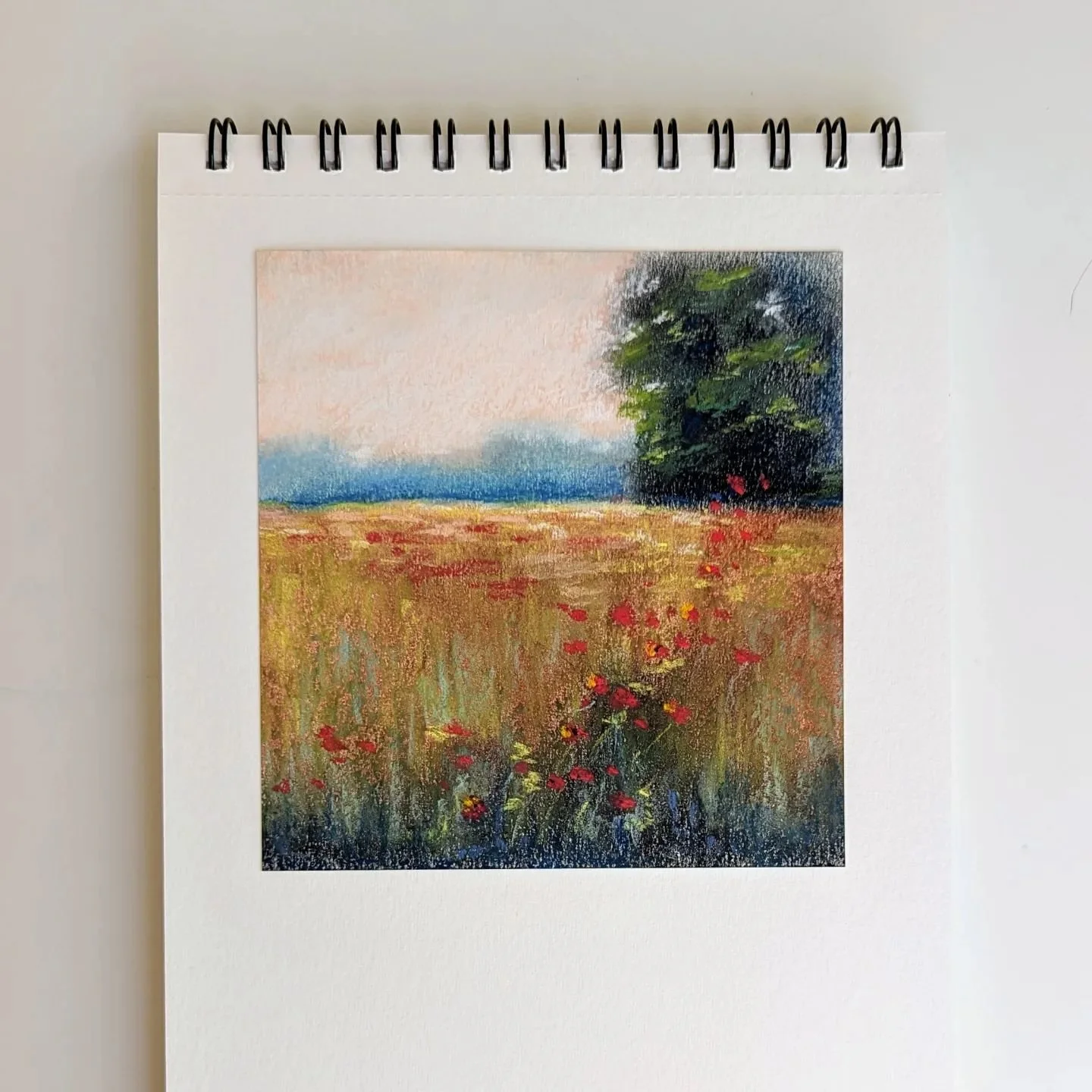 I recently had the pleasure of taking an online workshop by @valeriemckeehan on how to make this lovely soft pastel landscape. I haven't played around with pastels in over 20 years.😱 I love how this piece gives off a dreamy impressionist feel. This 