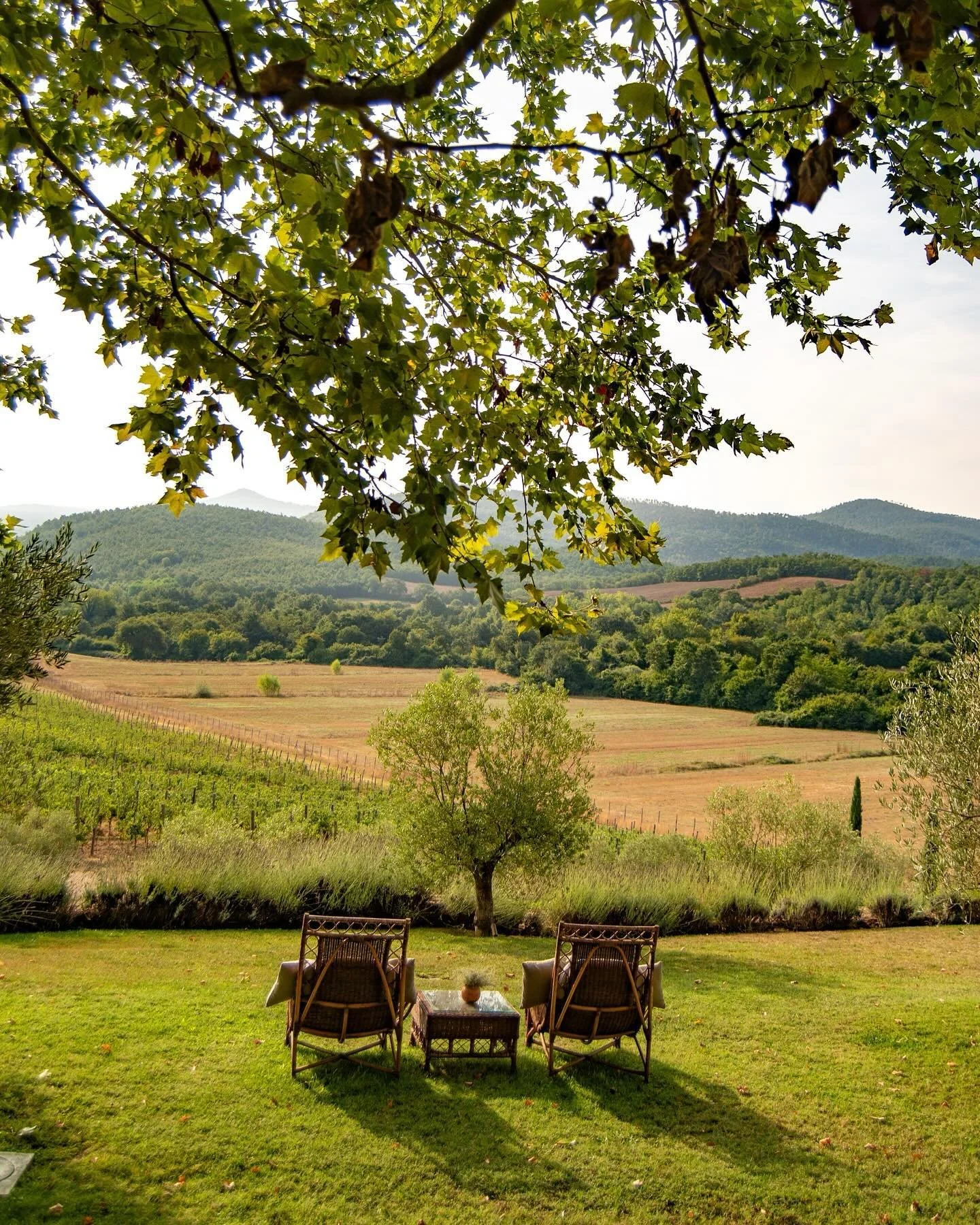 Tuscany &bull; 🌾🍷🌿🫒