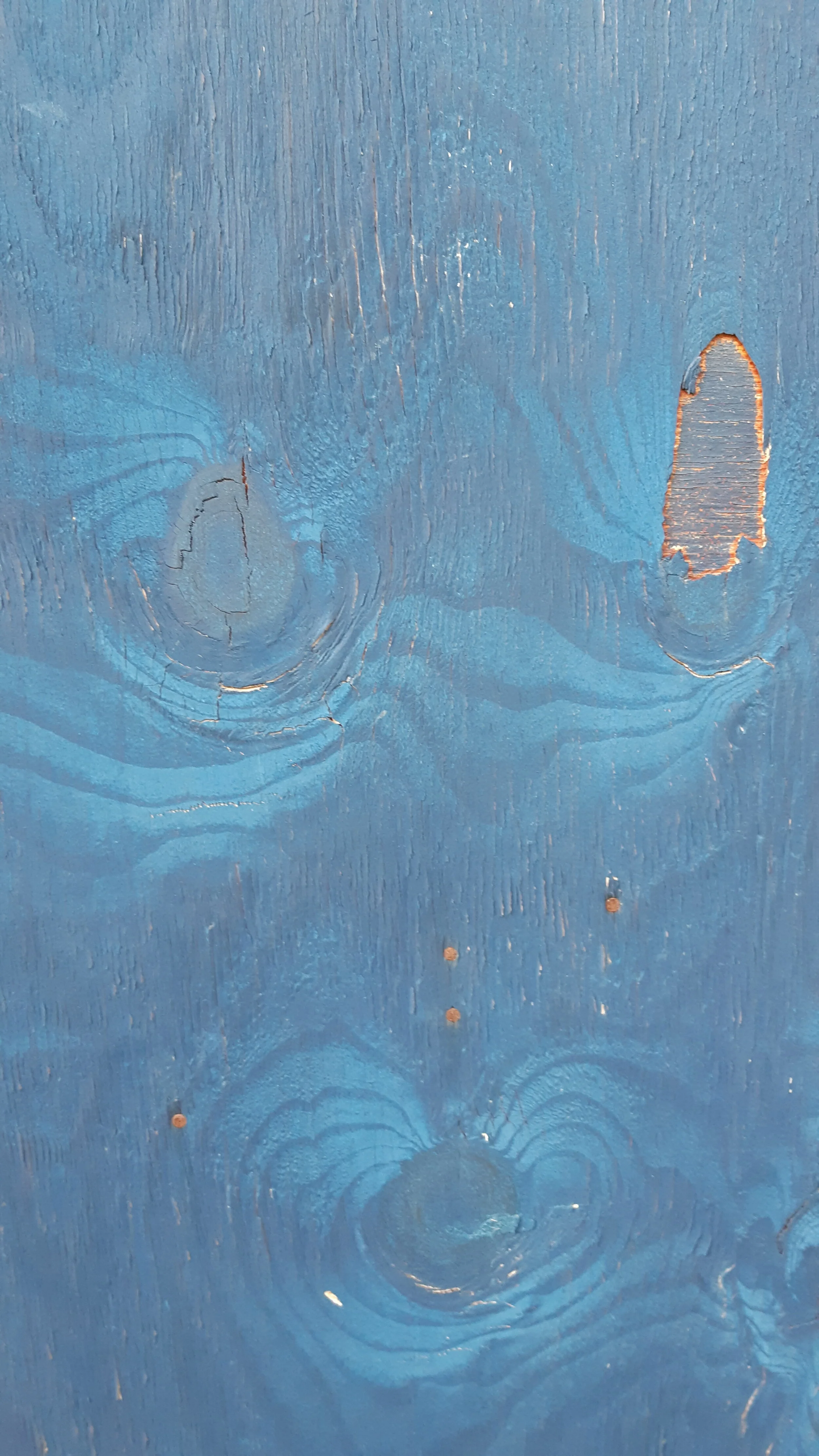 Found Creatures Toronto Robarts Hoarding 01.jpg