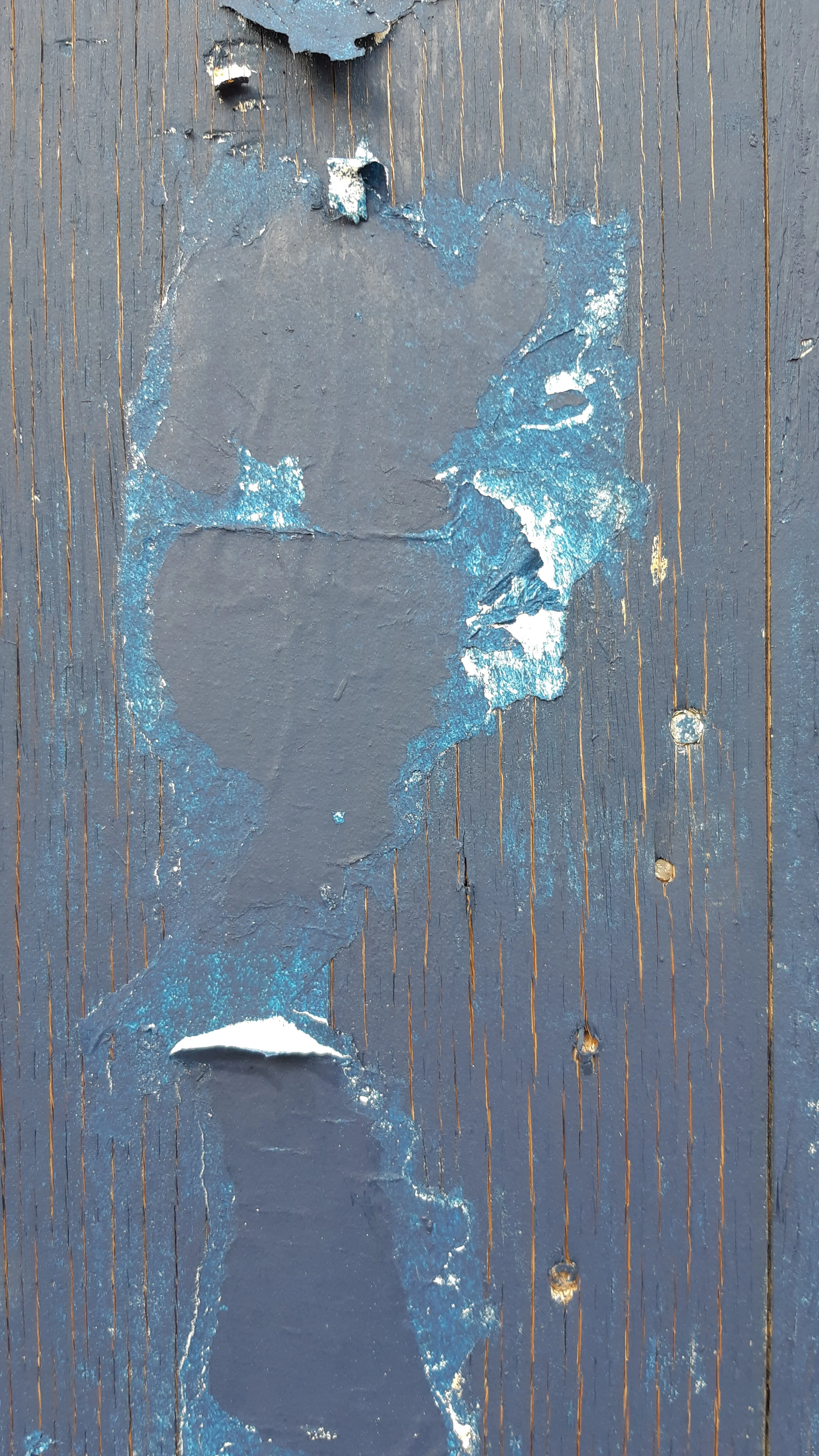 Found Creatures Toronto Robarts Hoarding 02.jpg