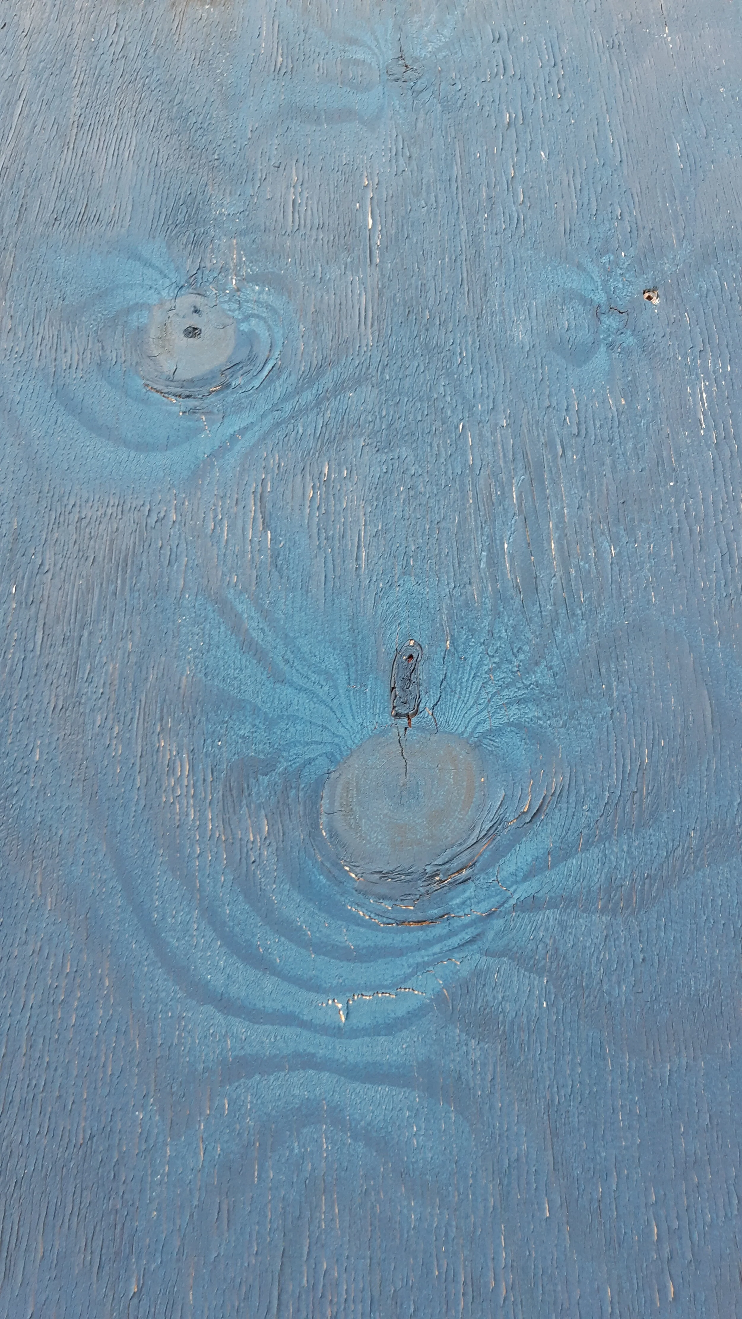 Found Creatures Toronto Robarts Hoarding 12.jpg