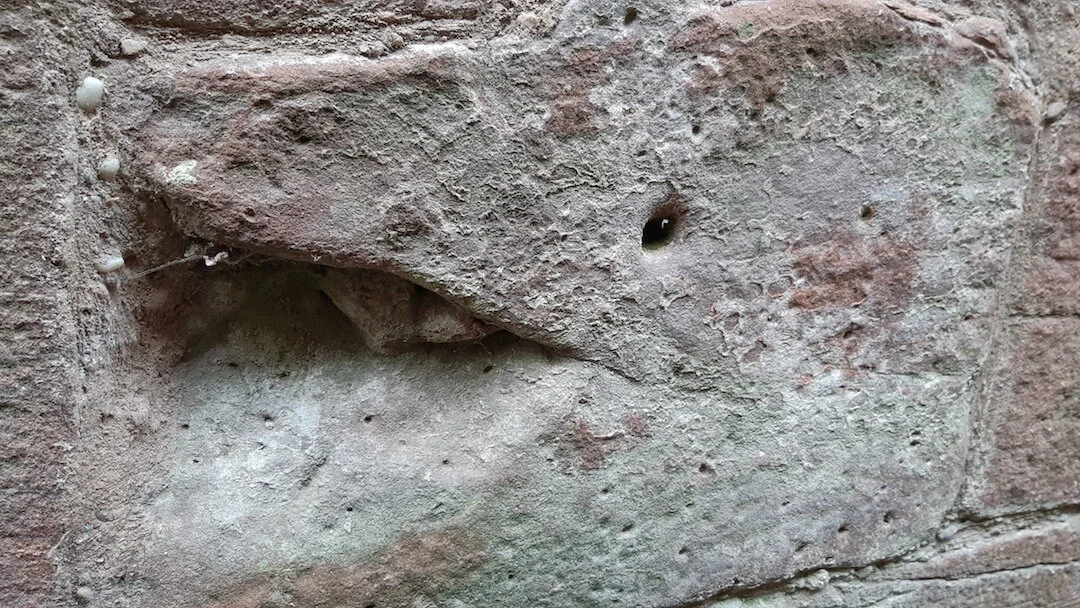 Found Creatures Heidelberg 14.jpg