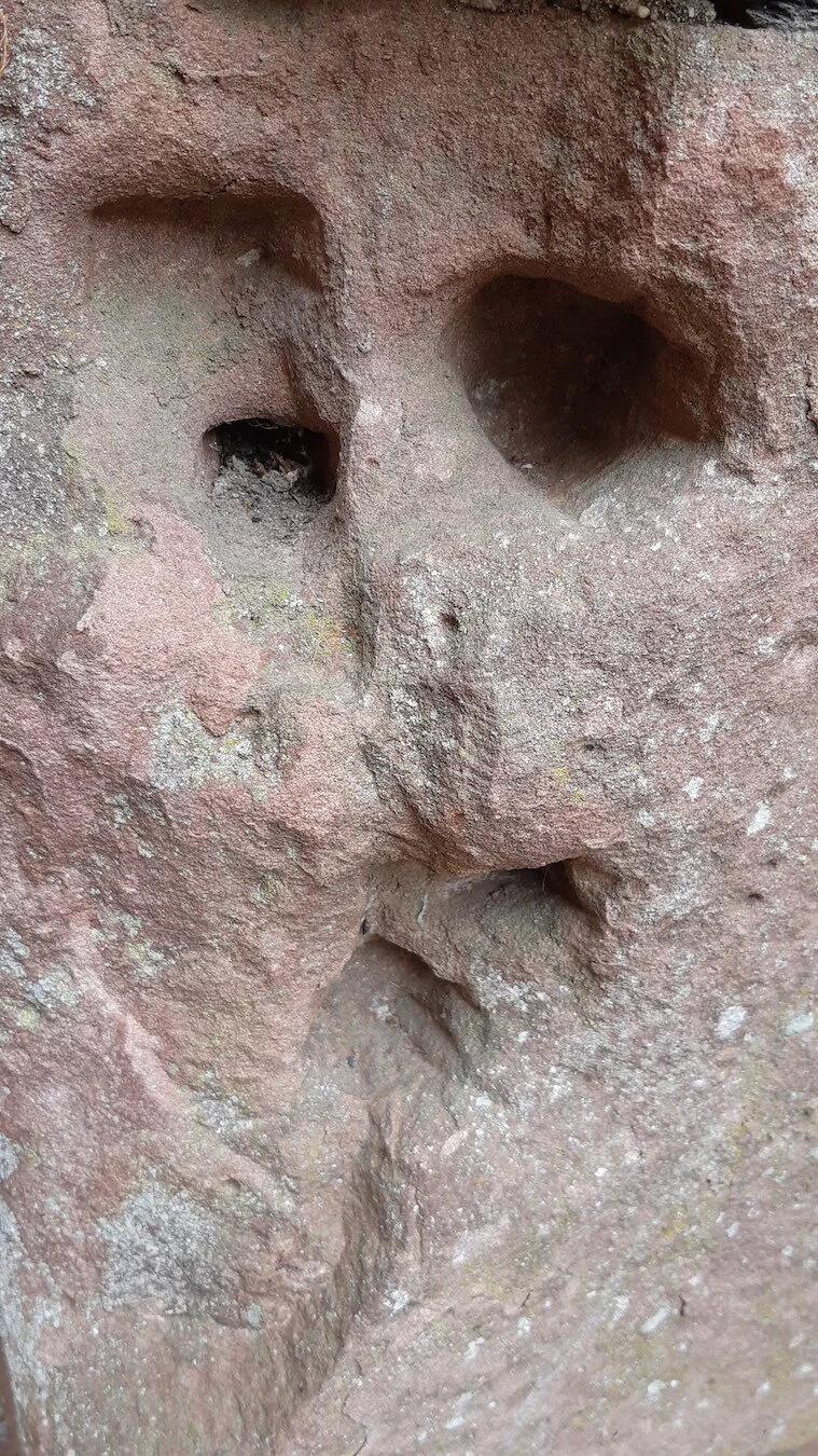 Found Creatures Heidelberg 16.jpg