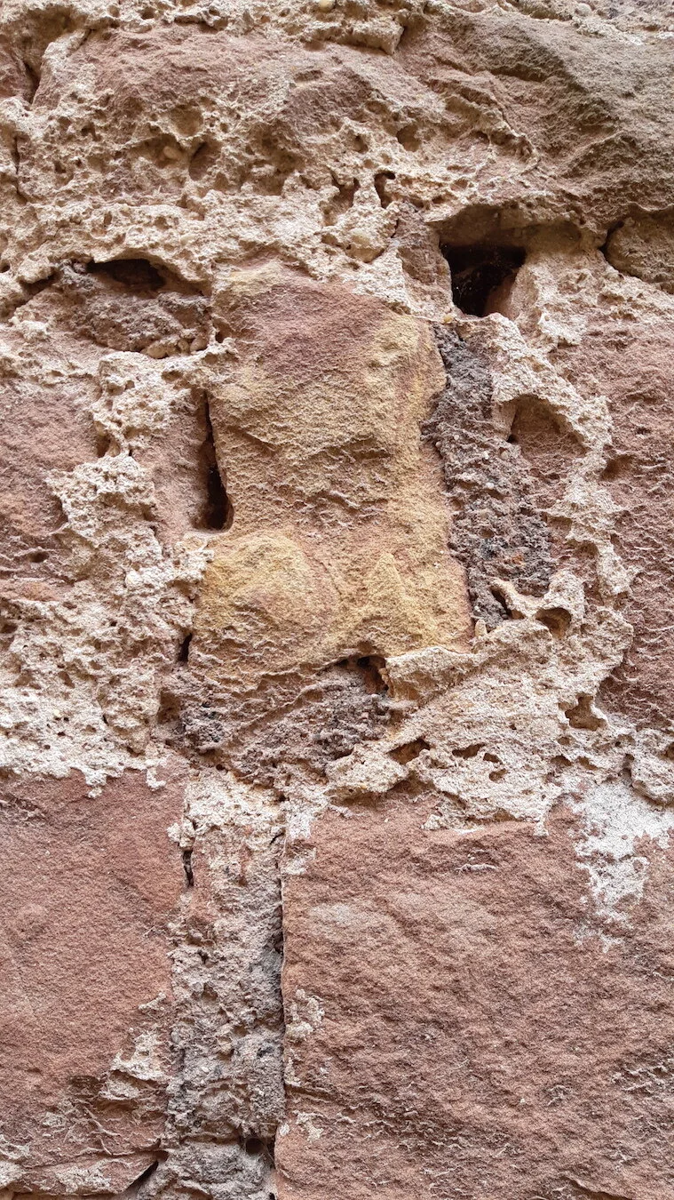 Found Creatures Heidelberg 36.jpg