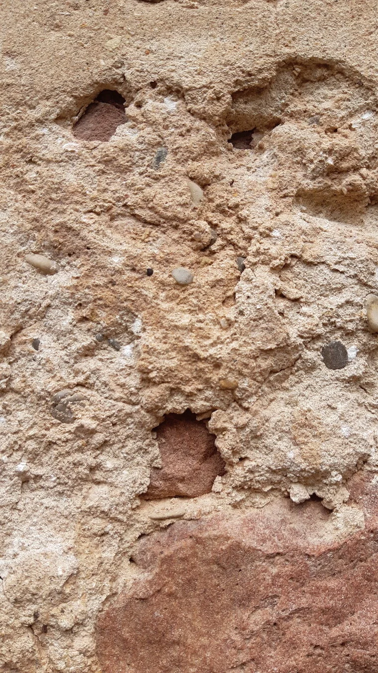 Found Creatures Heidelberg 41.jpg
