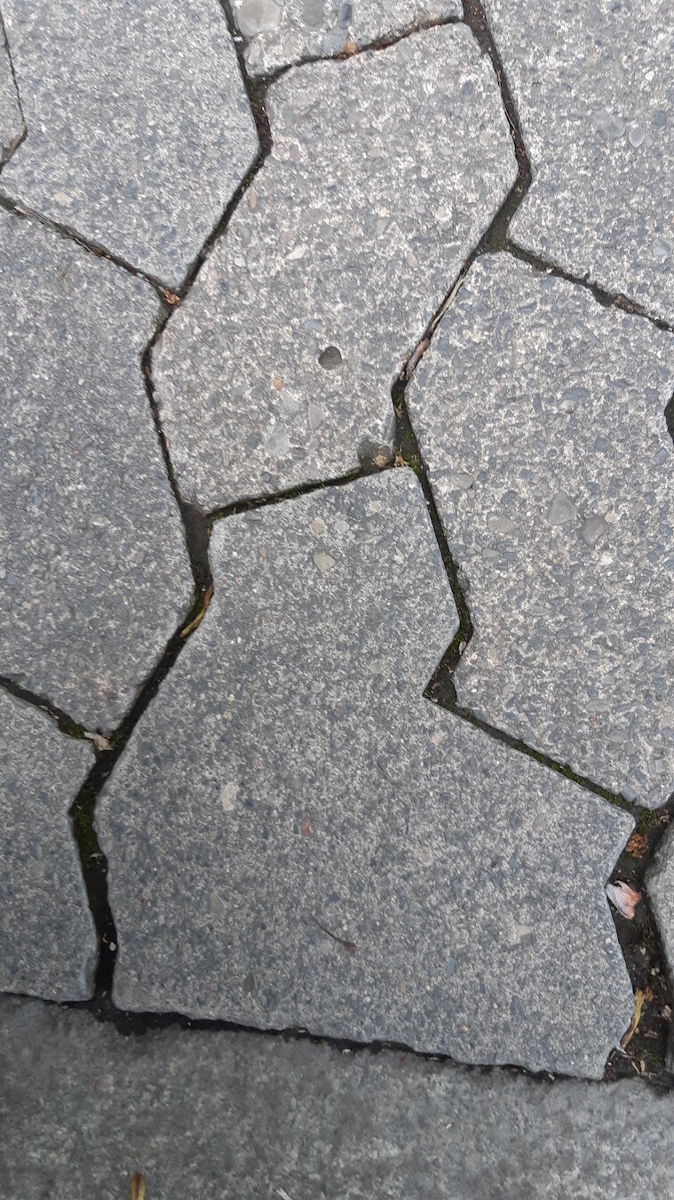 Found Creatures Gottingen 28.jpg
