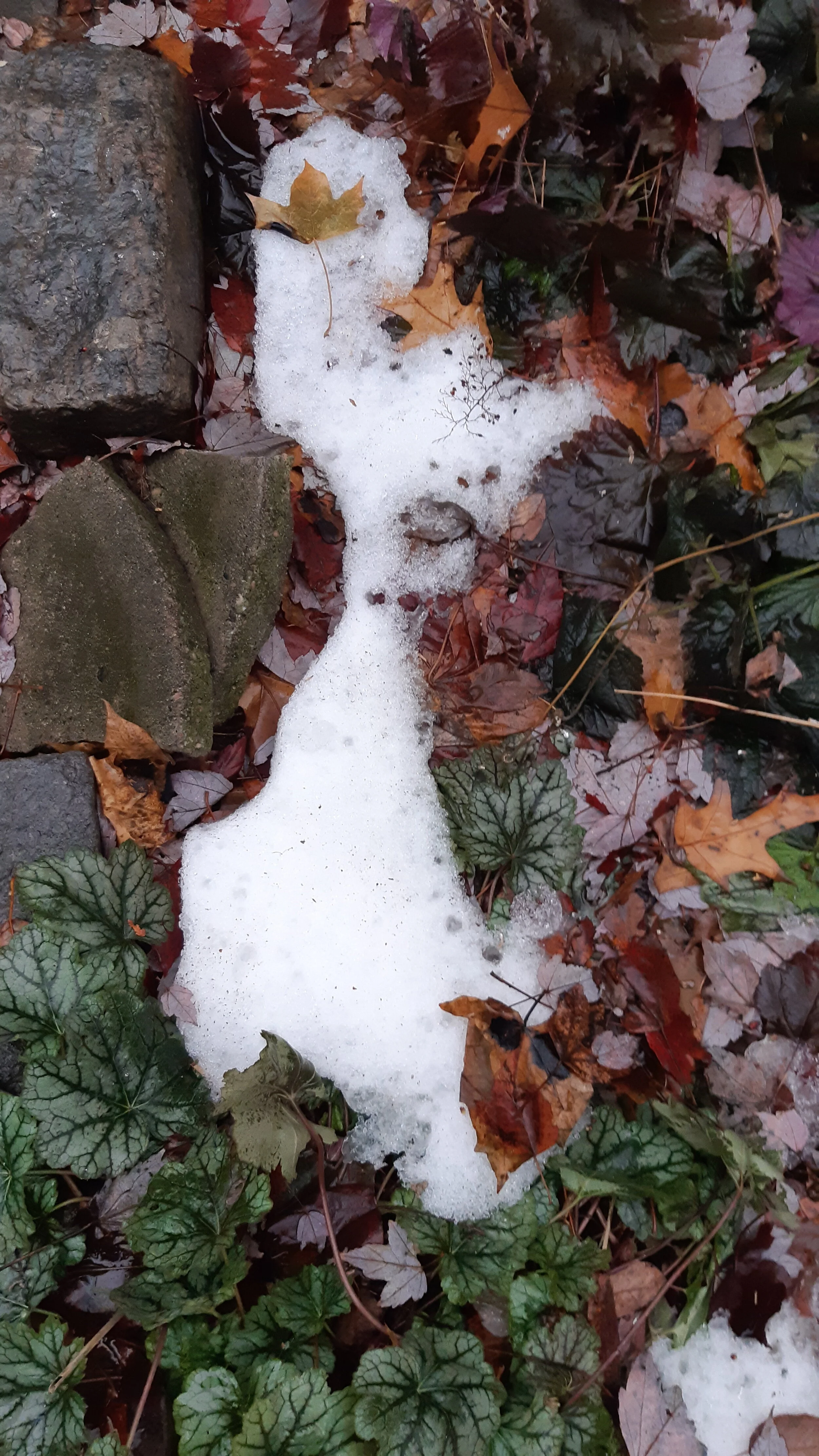 Toronto Snow and Ice 27.jpg