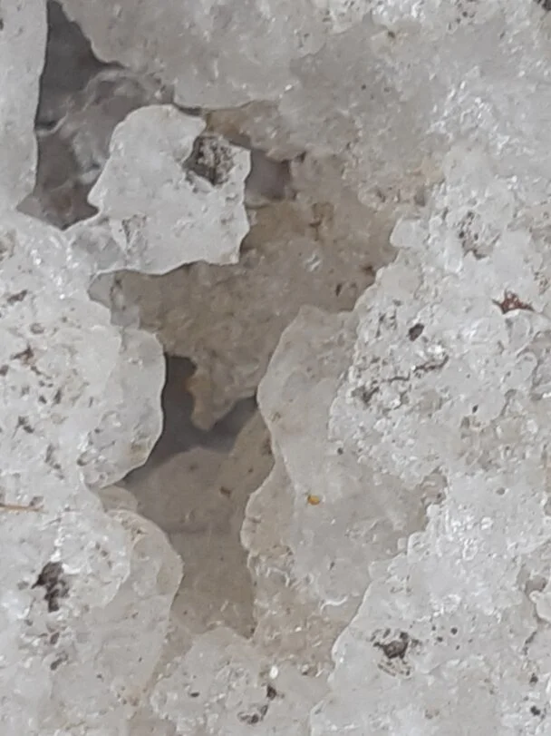 Toronto Snow and Ice 45.jpg