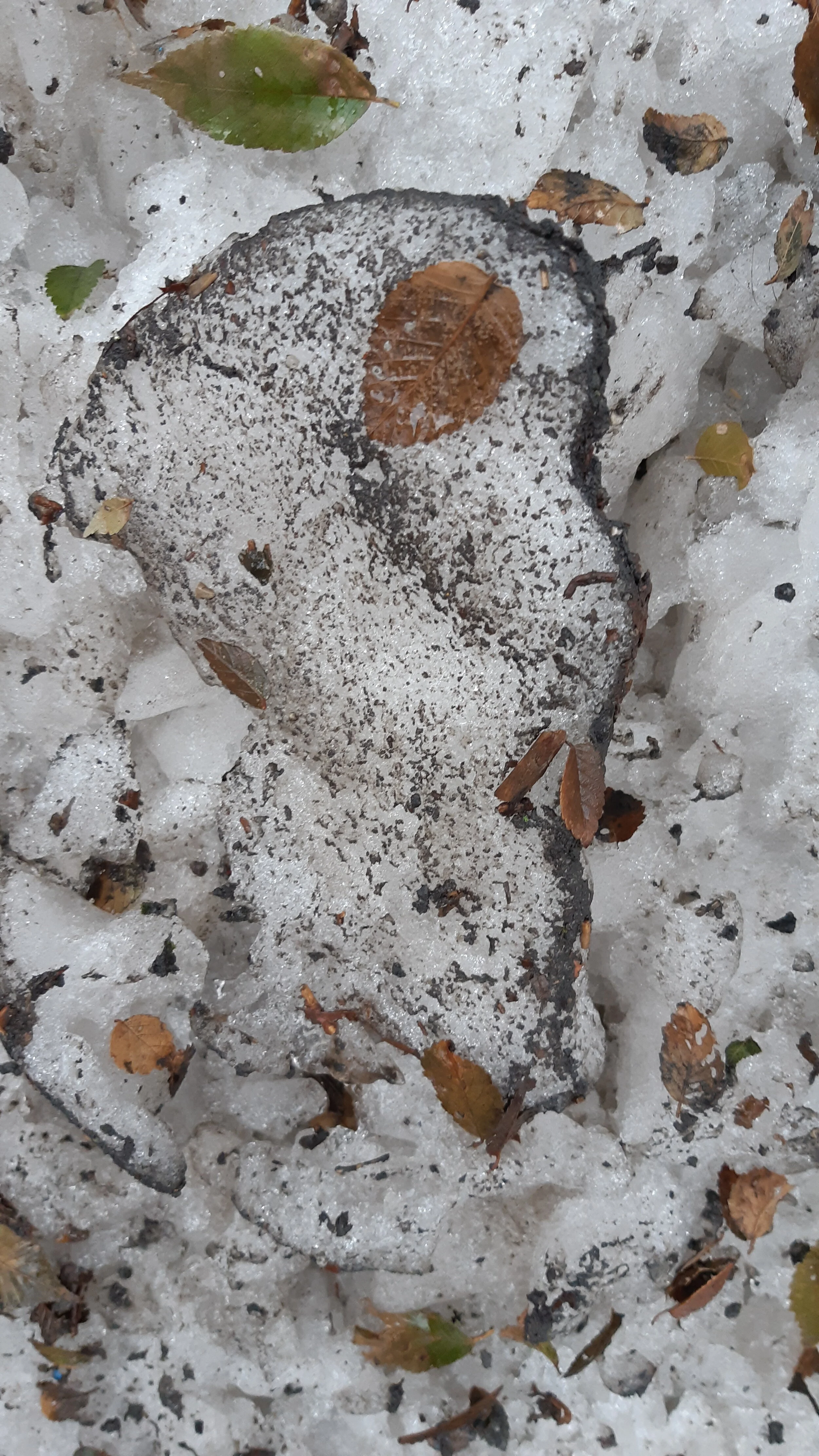 Toronto Snow and Ice 80.jpg