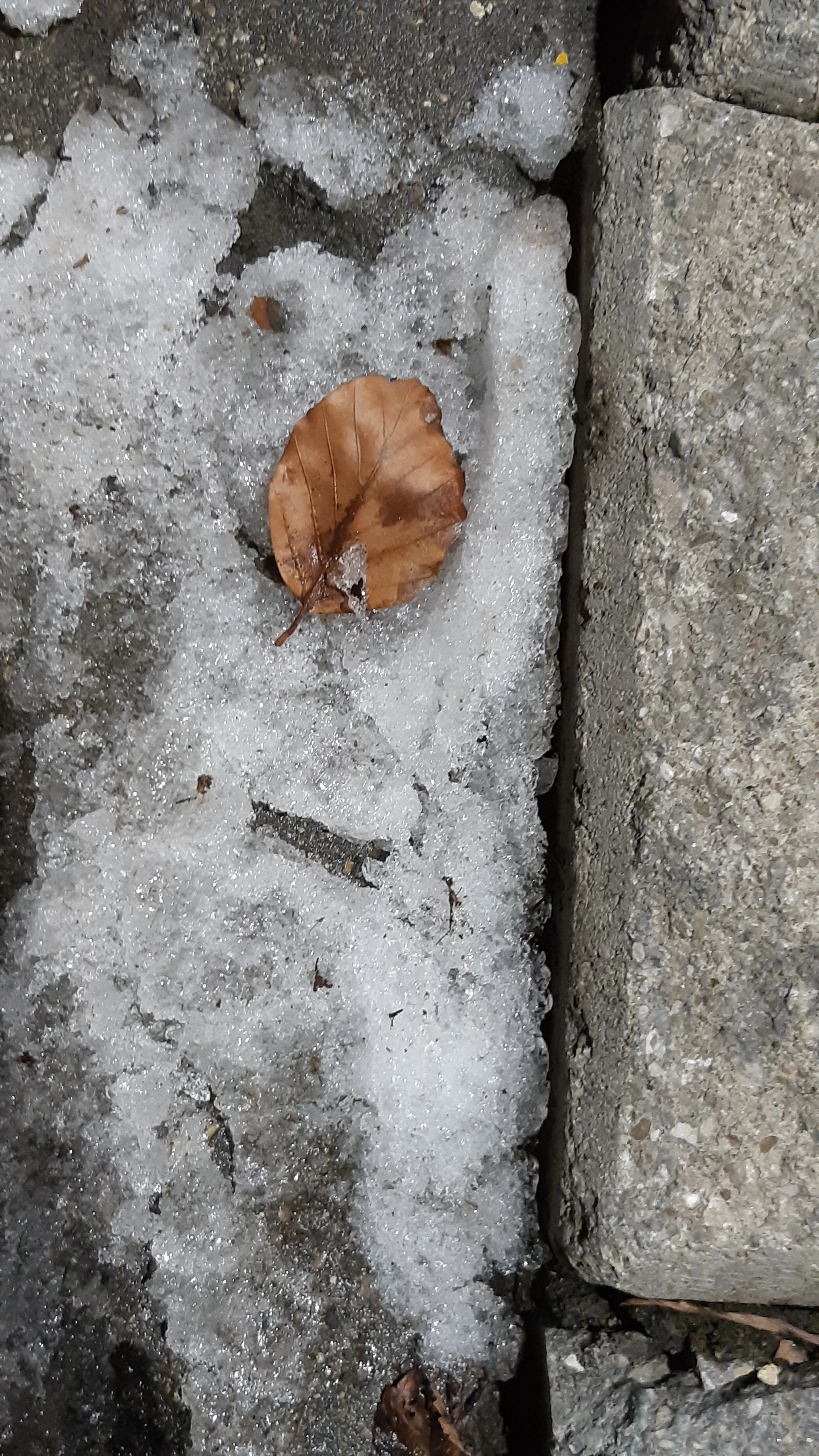 Toronto Snow and Ice 84.jpg