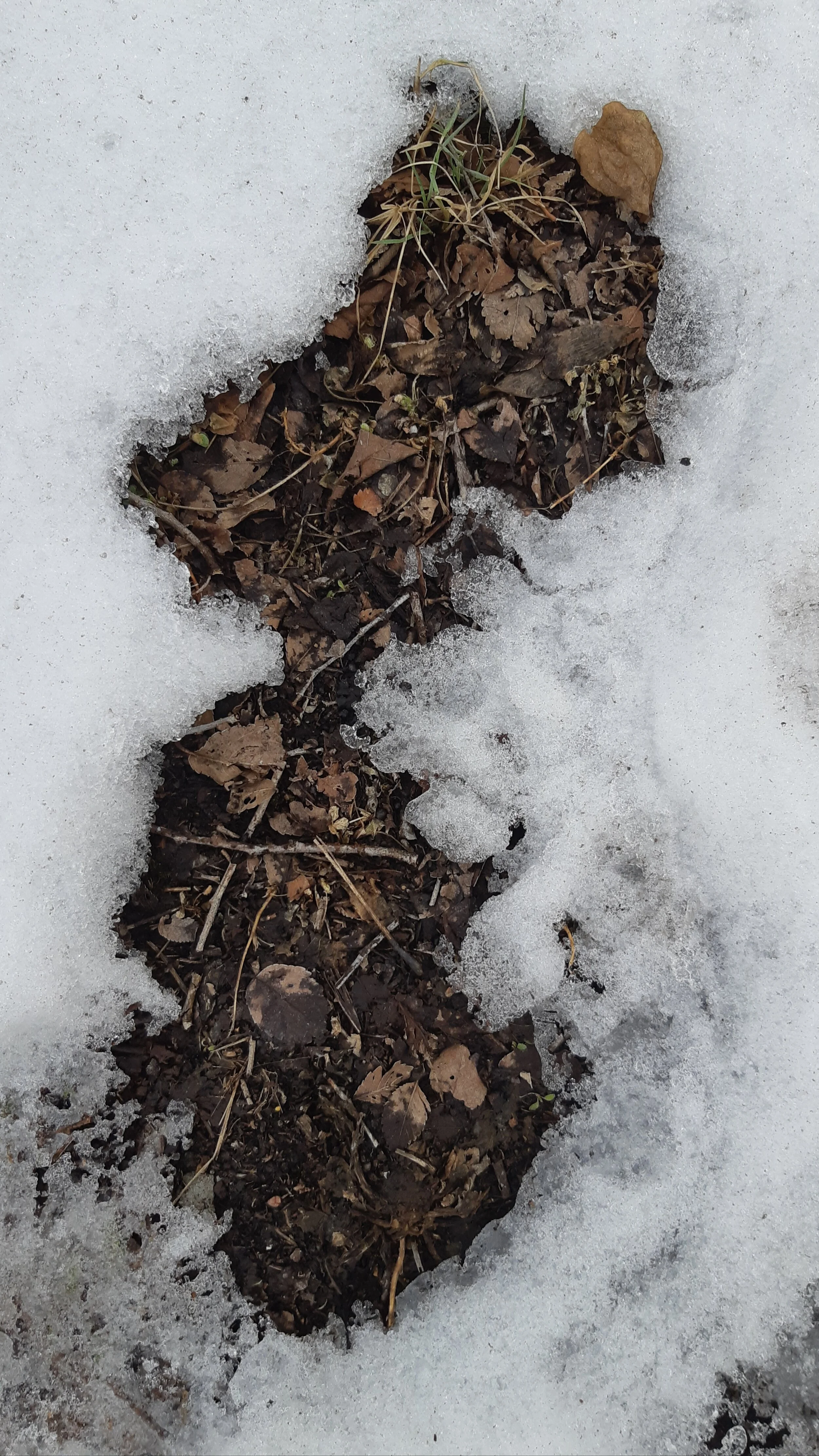 Toronto Snow and Ice 125.jpg
