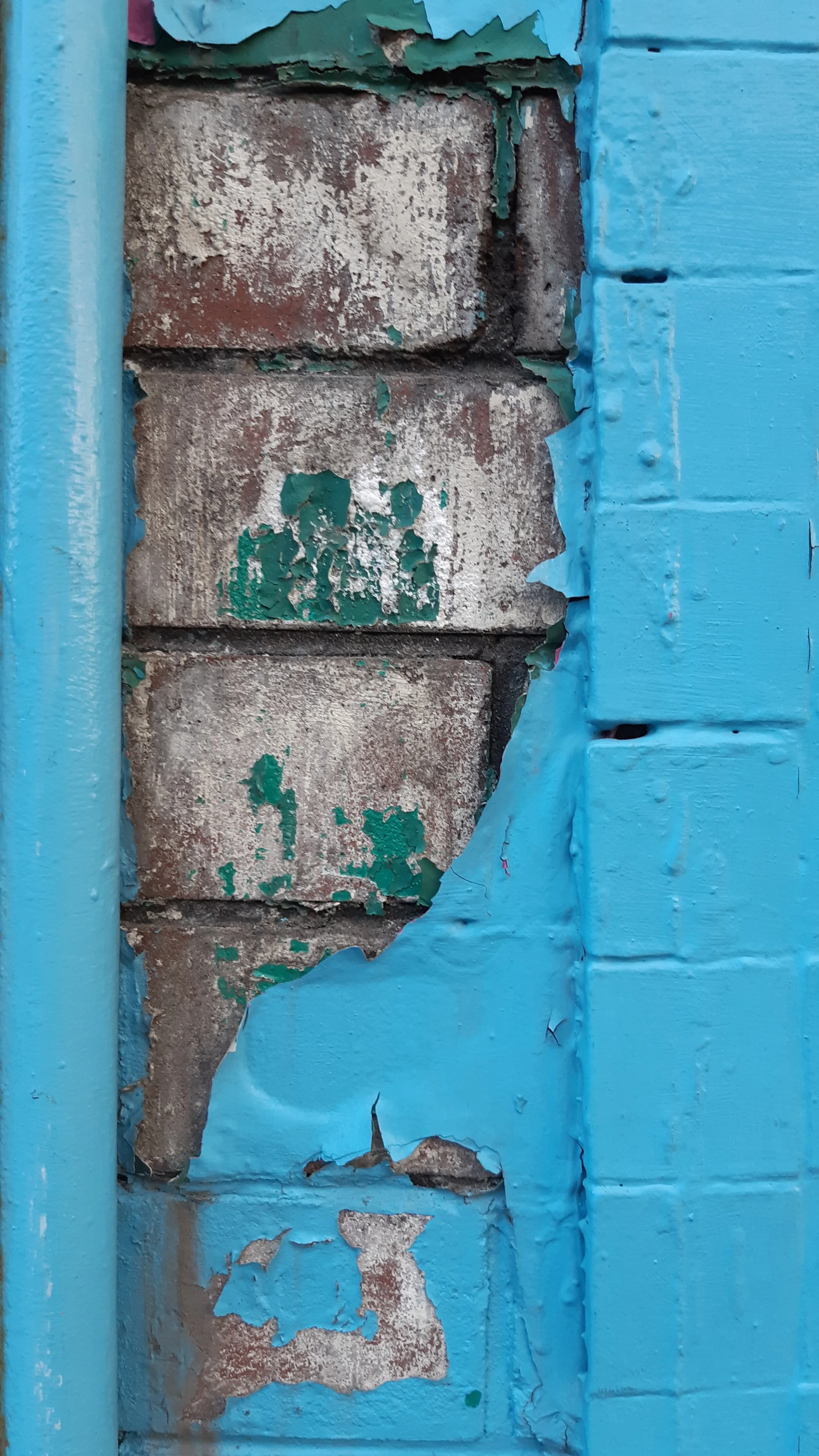 Found Creatures Toronto 23.jpg