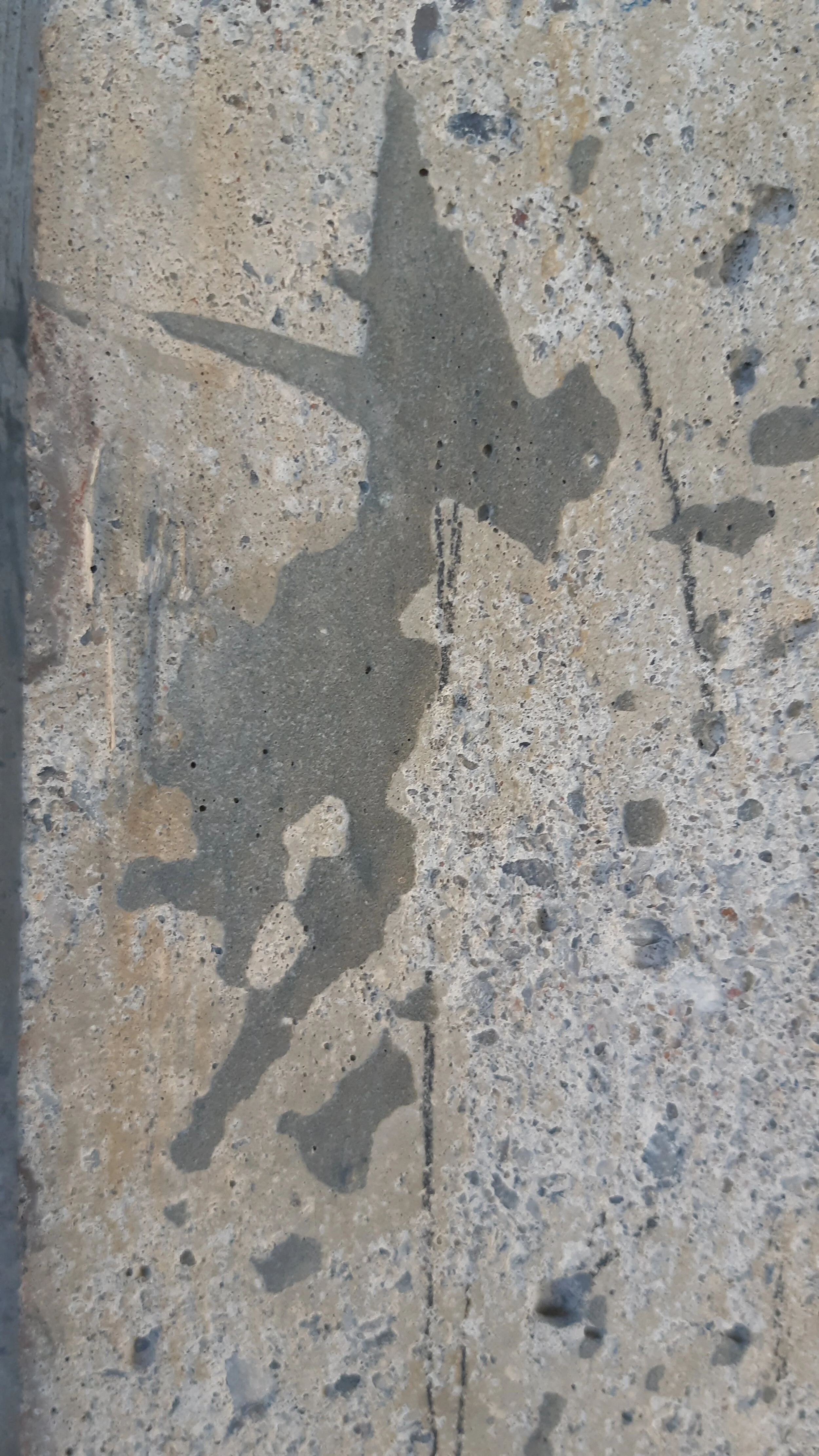 Found Creatures Toronto 129.jpg