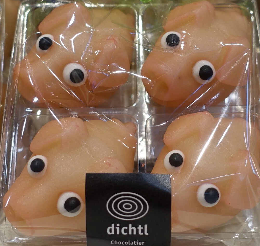 schweinchen.jpeg
