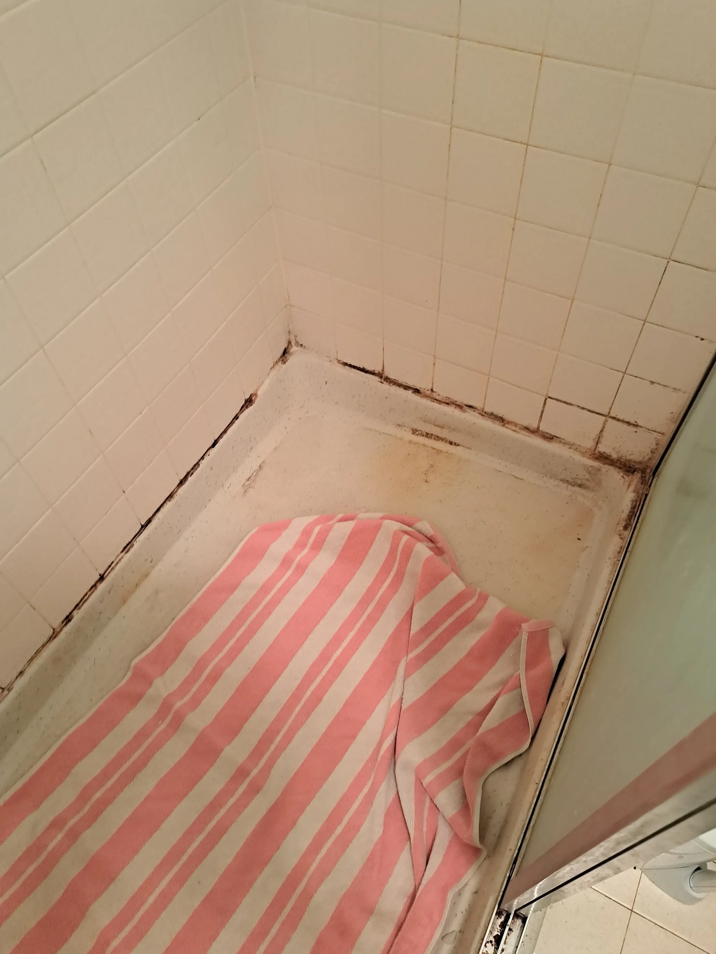 Before Bathroom Regrouting in Chicago