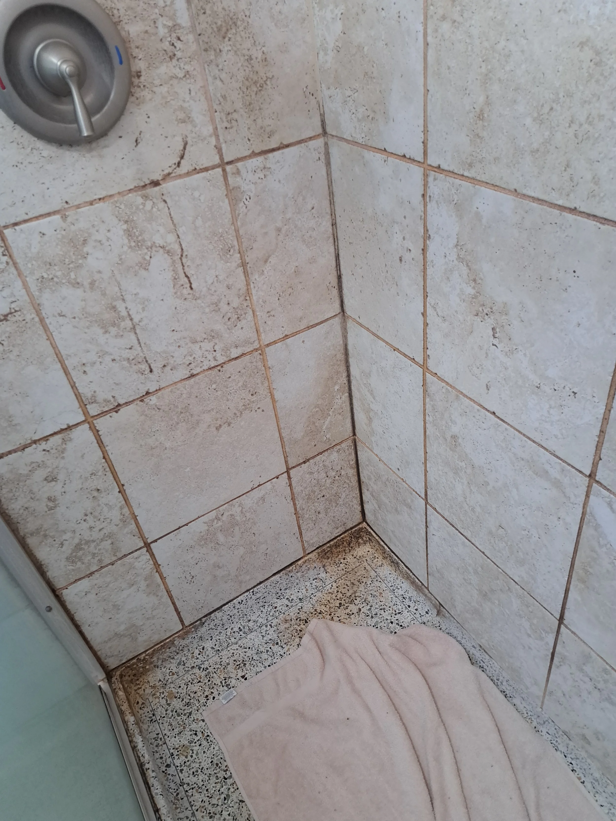 Before Shower Grout Cleaning in Chicago