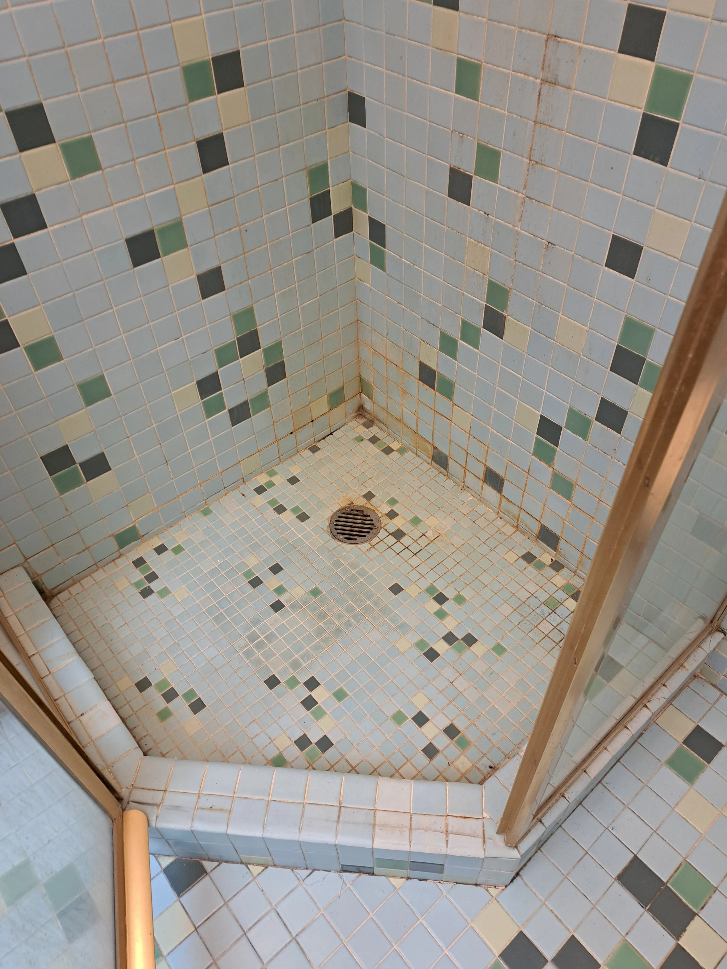 Before Shower Tile Cleaning in Chicago (Copy)