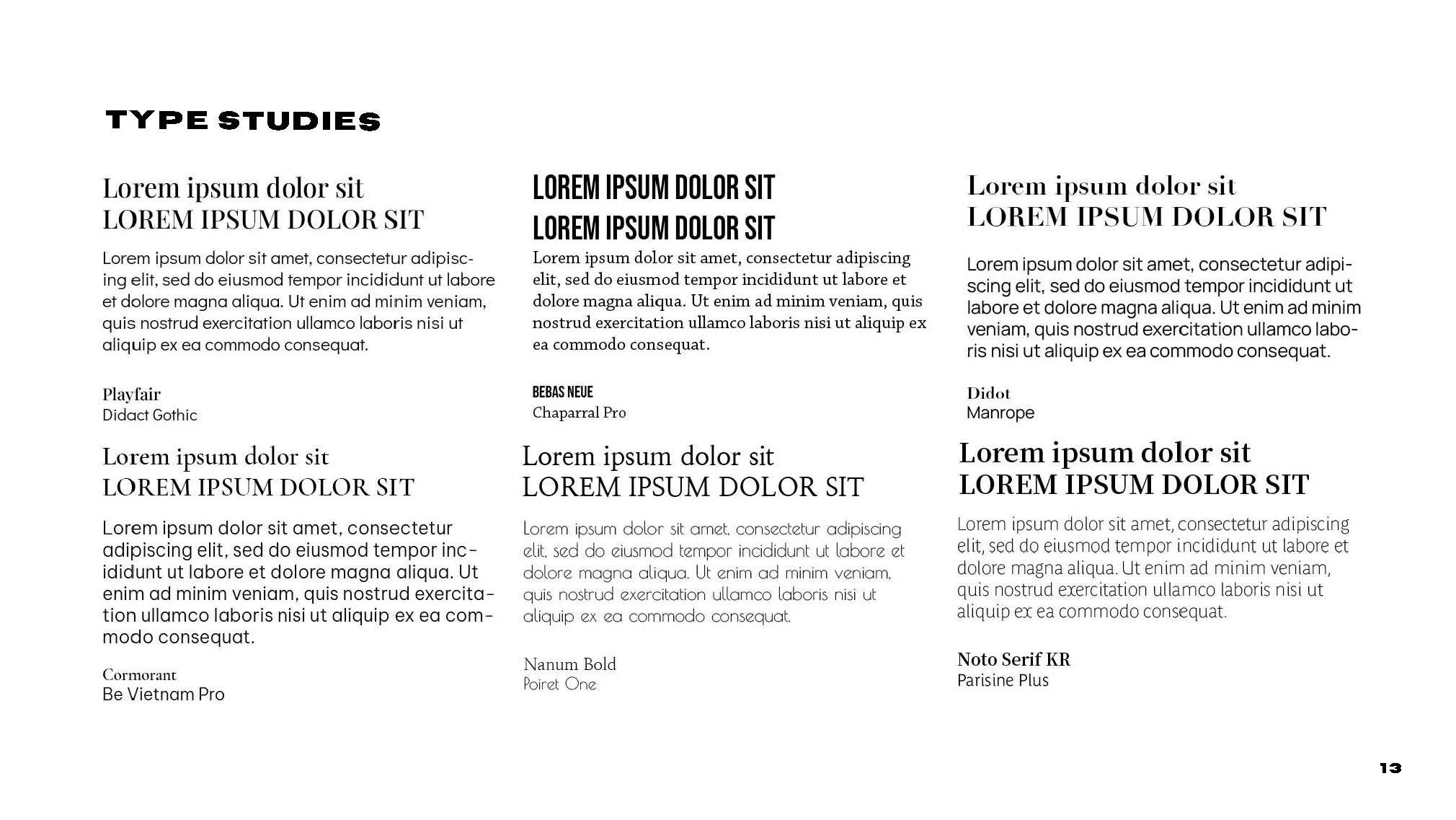 GRDS 348 Final Processbook_Page_17.jpg