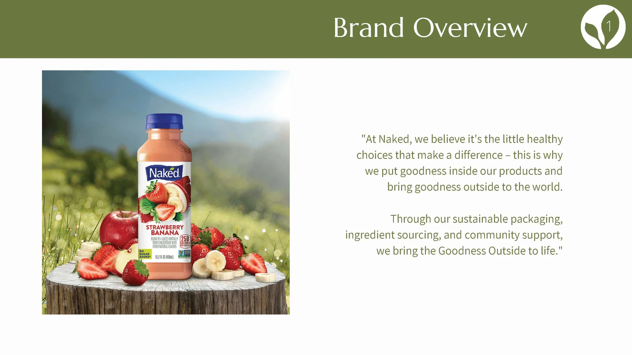 Project 3 Naked Brazofsky Campise Hermann_Page_04.jpg