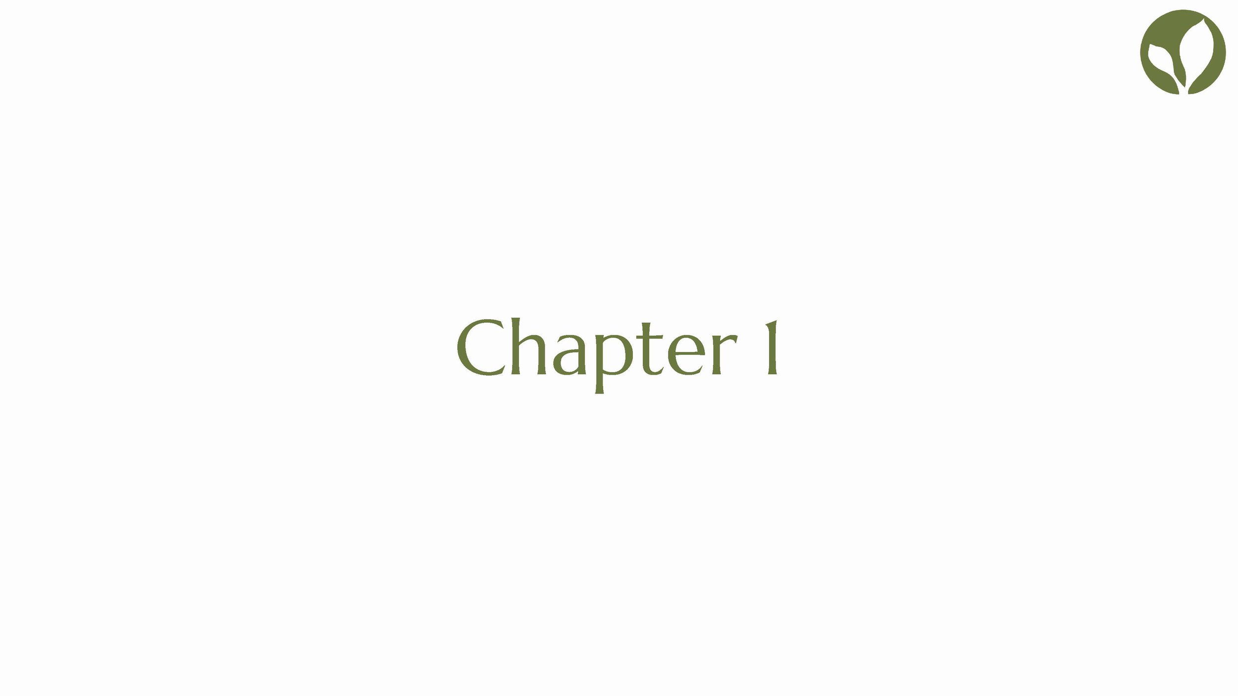 Project 3 Naked Brazofsky Campise Hermann_Page_03.jpg