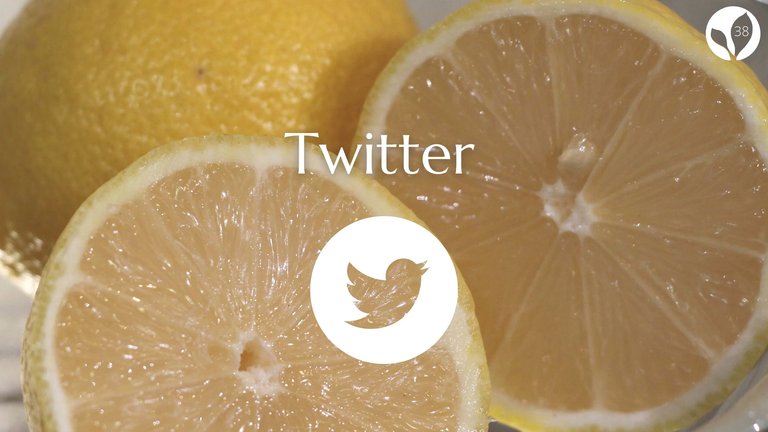 Project 3 Naked Brazofsky Campise Hermann_Page_45.jpg