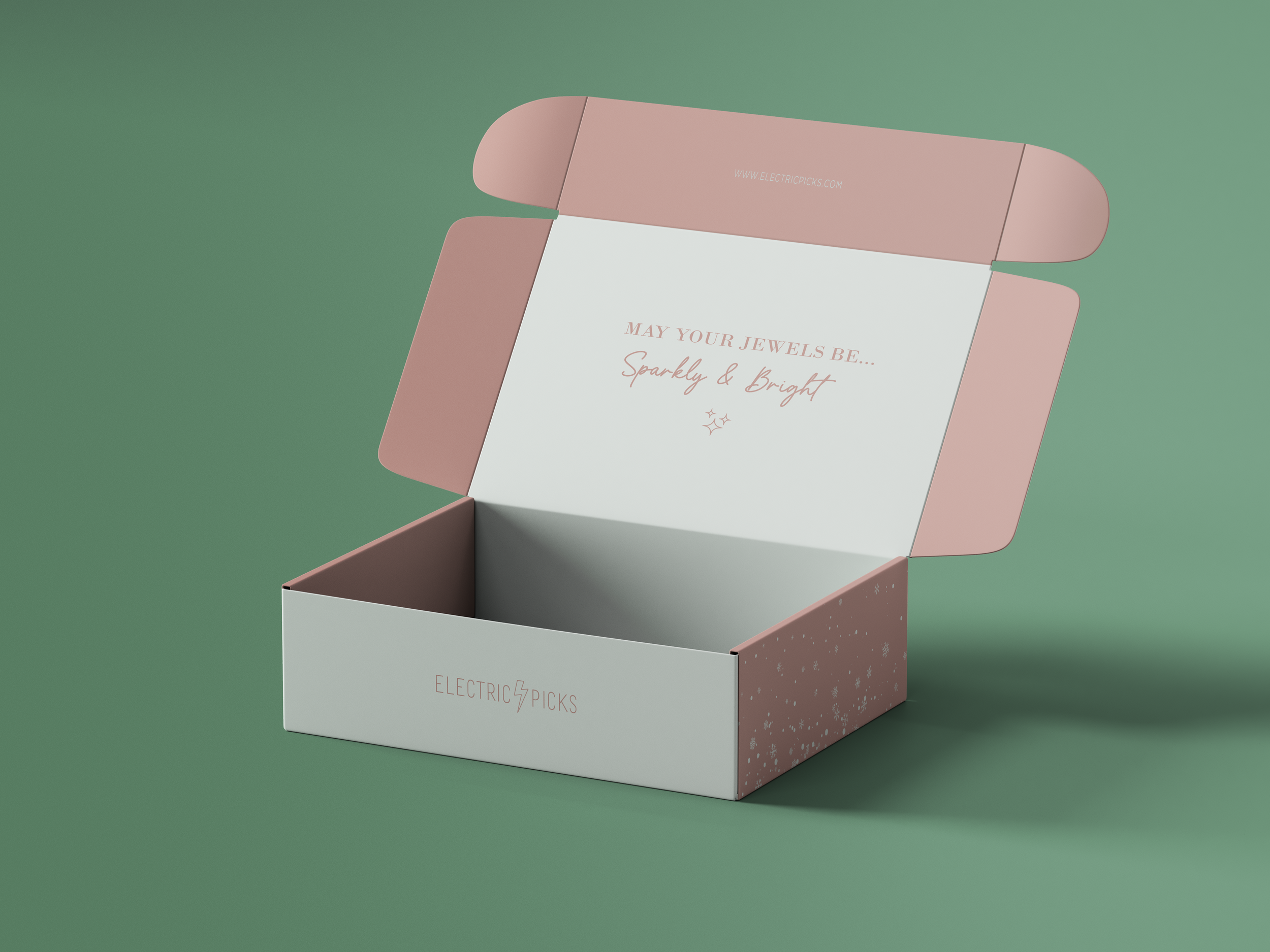 MAILER BOX INSIDE EH.png
