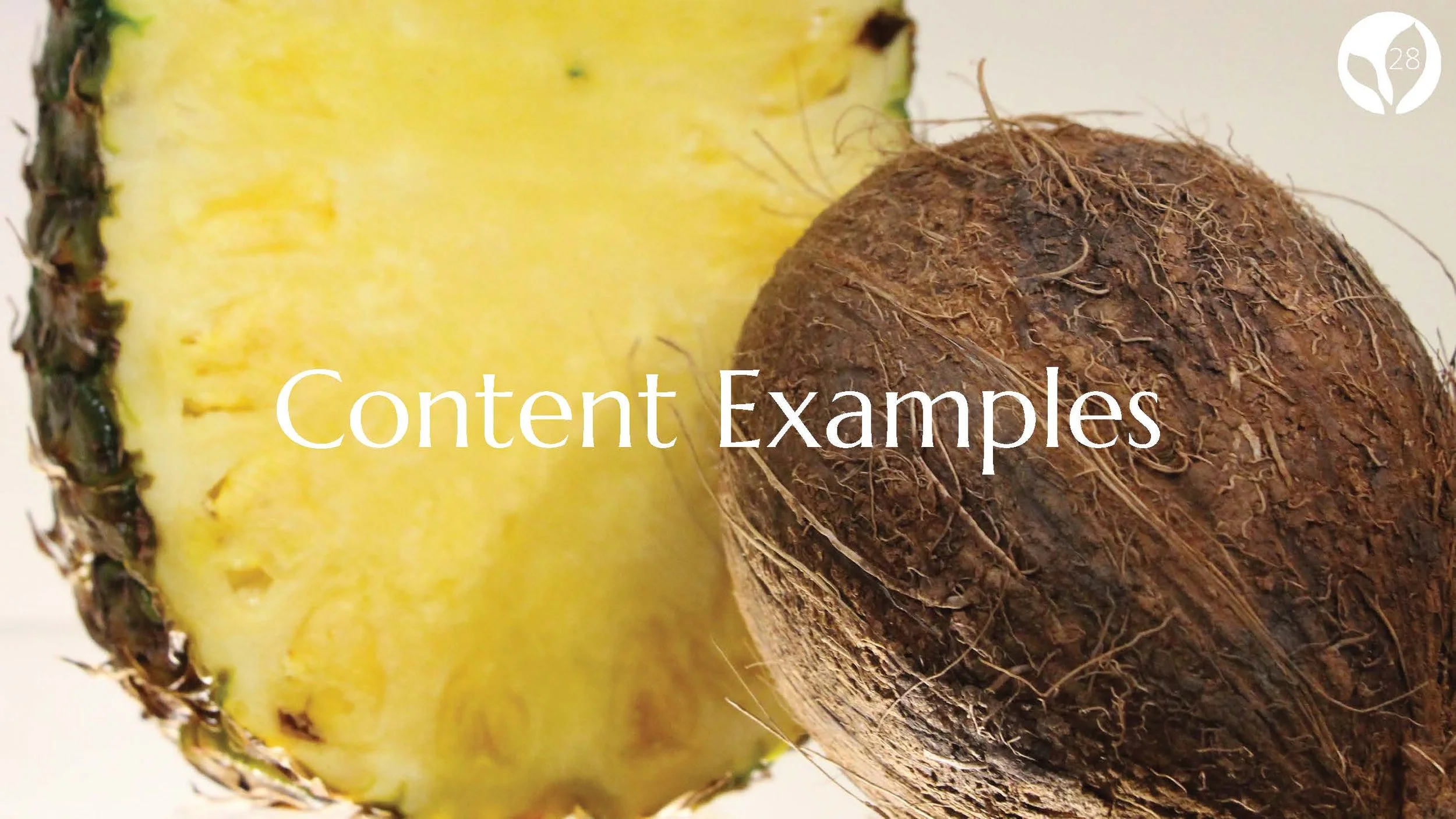 Project 3 Naked Brazofsky Campise Hermann_Page_35.jpg