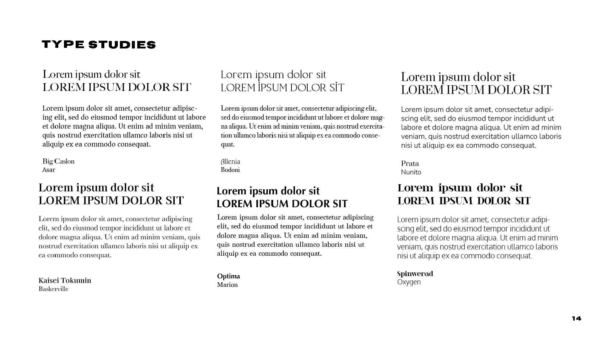 GRDS 348 Final Processbook_Page_18.jpg