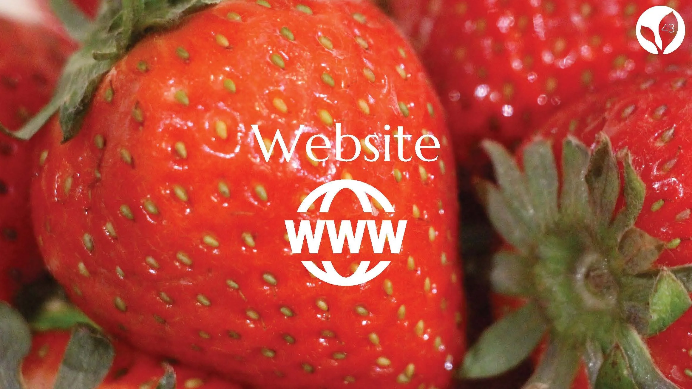 Project 3 Naked Brazofsky Campise Hermann_Page_50.jpg