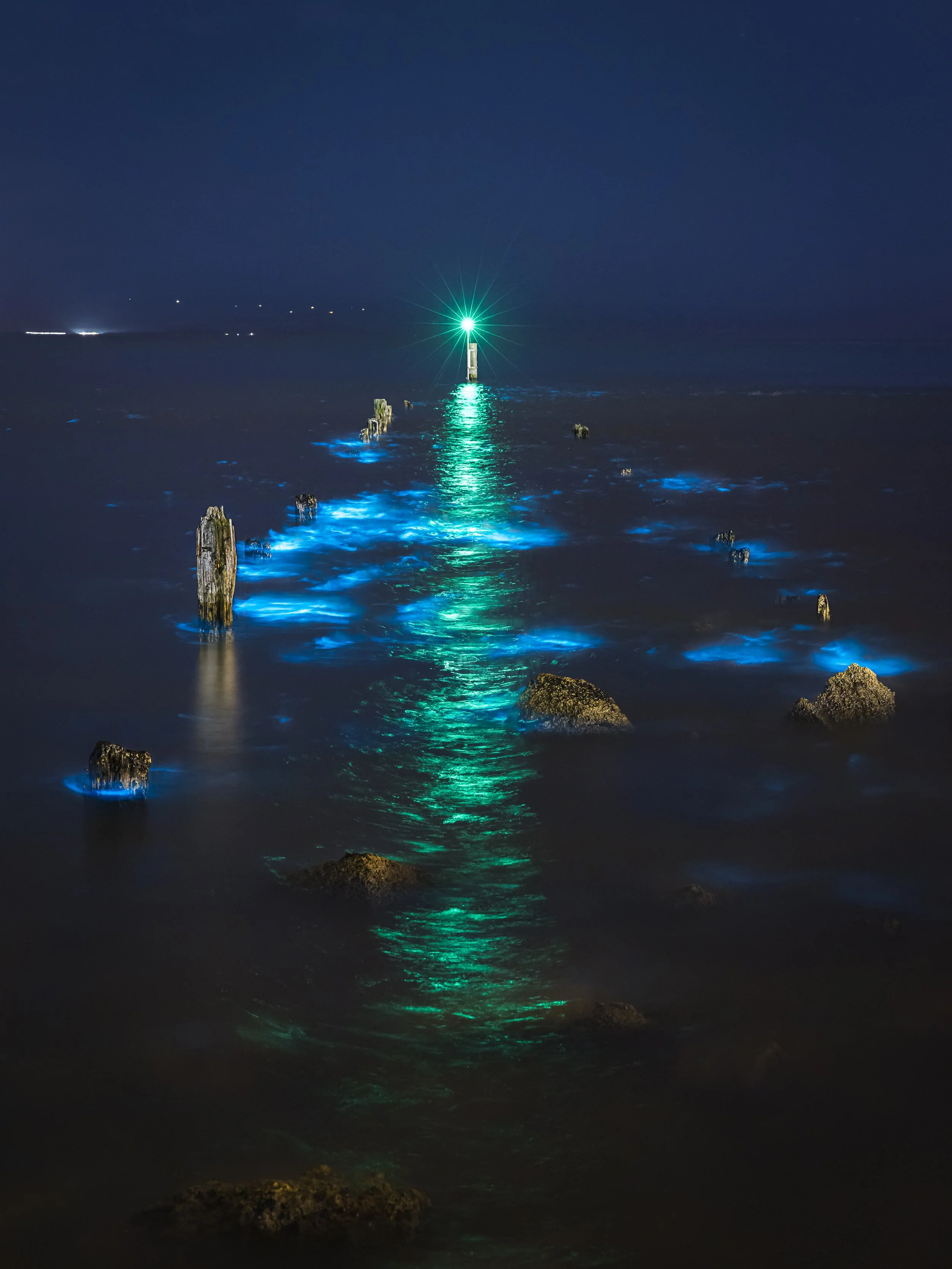 Bioluminescent Plankton in Ahuriri, Napier, Hawke's Bay, New Zea