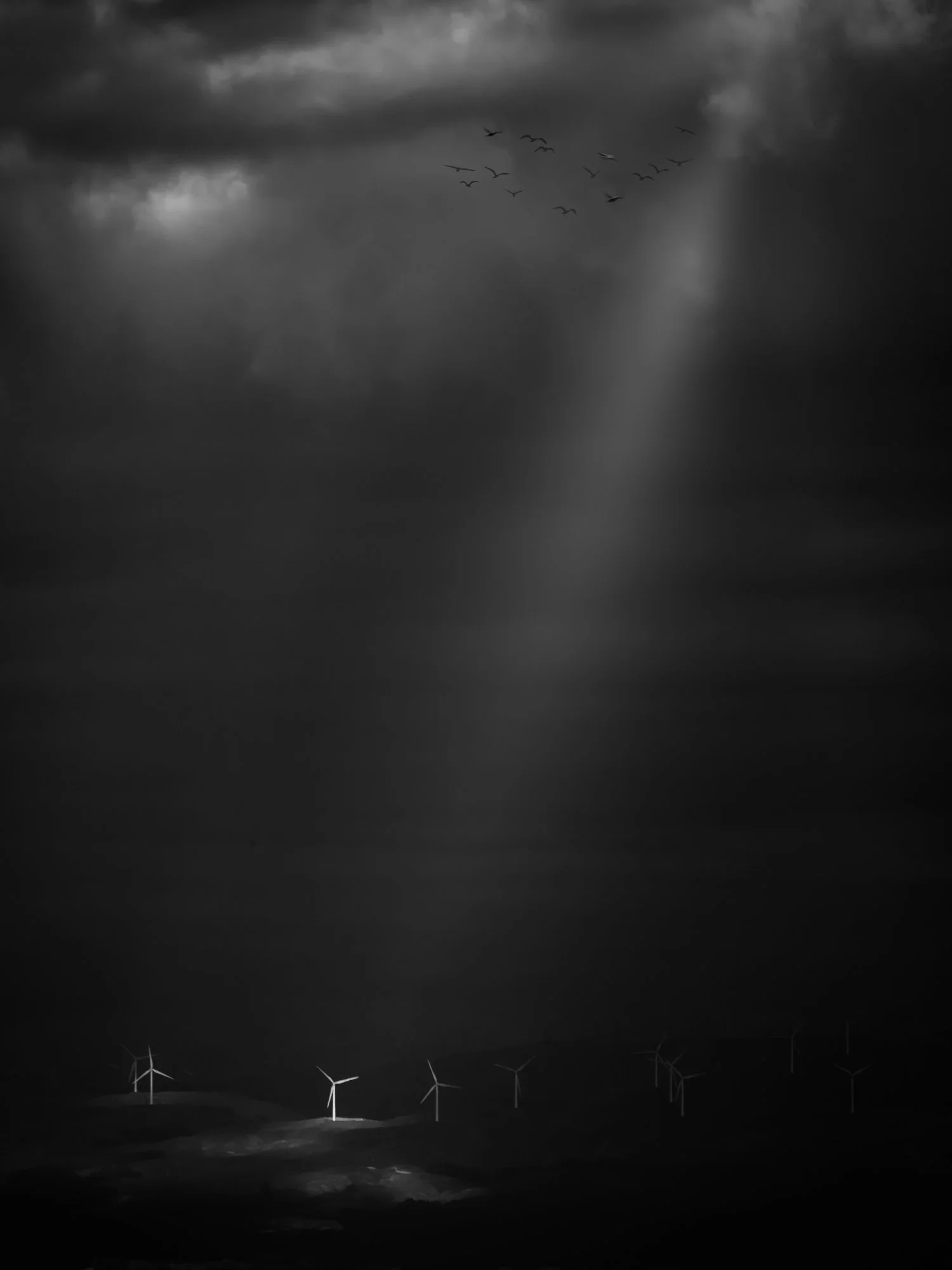 _DSF7406-Edit.jpg