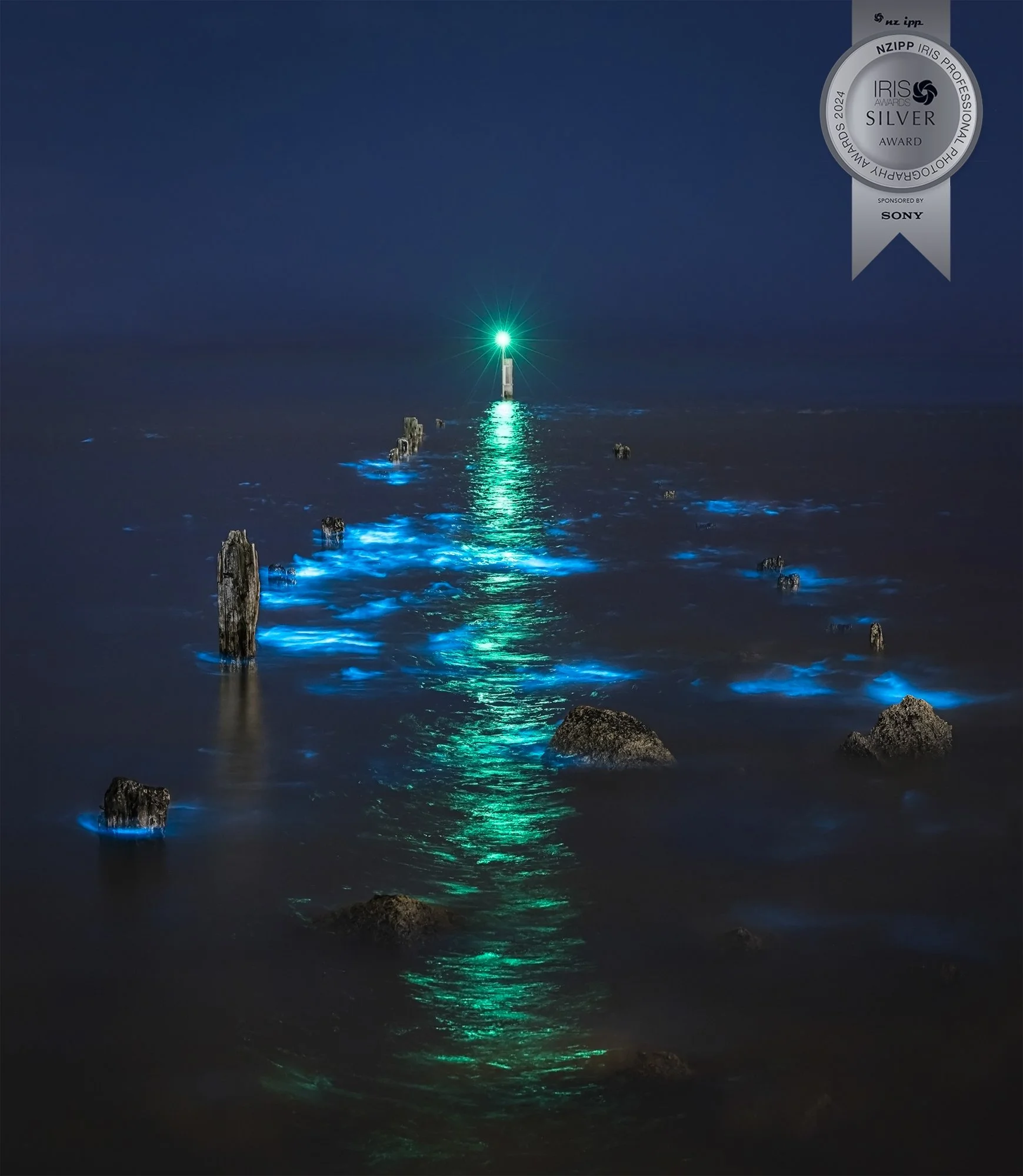 Bioluminescent Plankton in Ahuriri, Napier, Hawke's Bay, New Zea (Copy) (Copy)