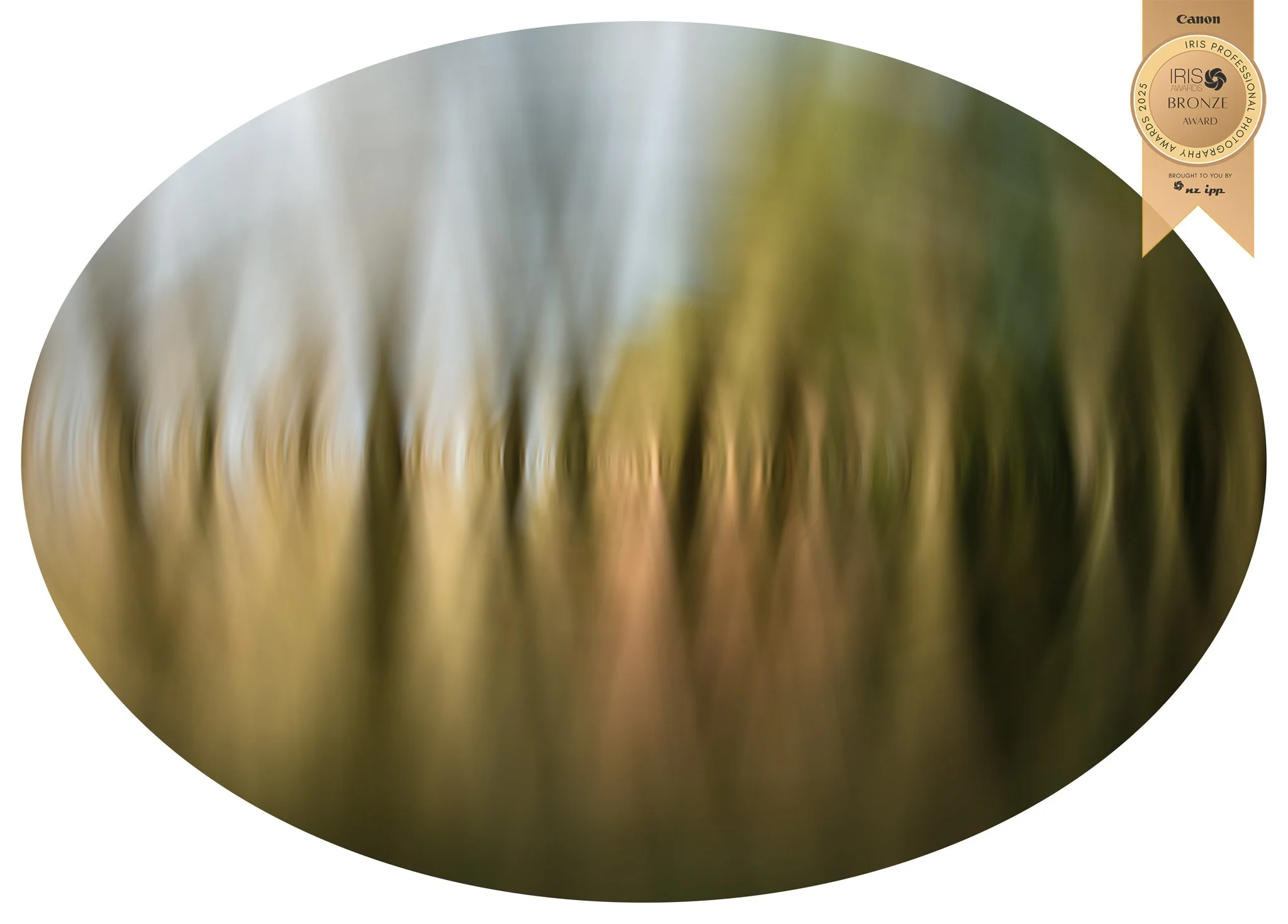 The Woods. IRIS Bronze Award.