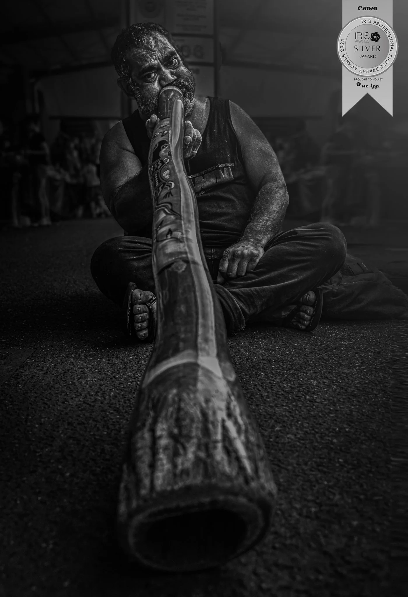 Rusty, Cairns.  IRIS Silver Award.