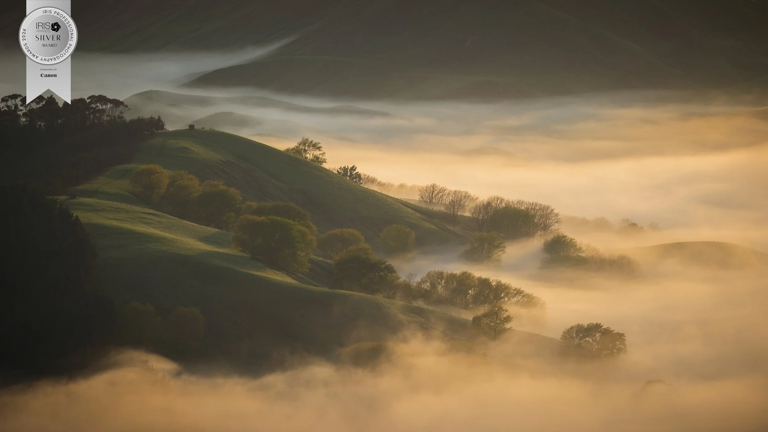 Landscape Category: Silver