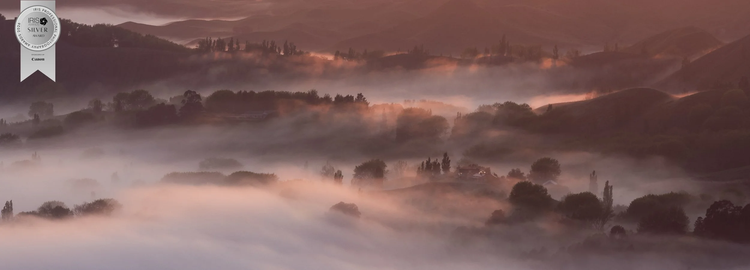 Landscape Category: Silver