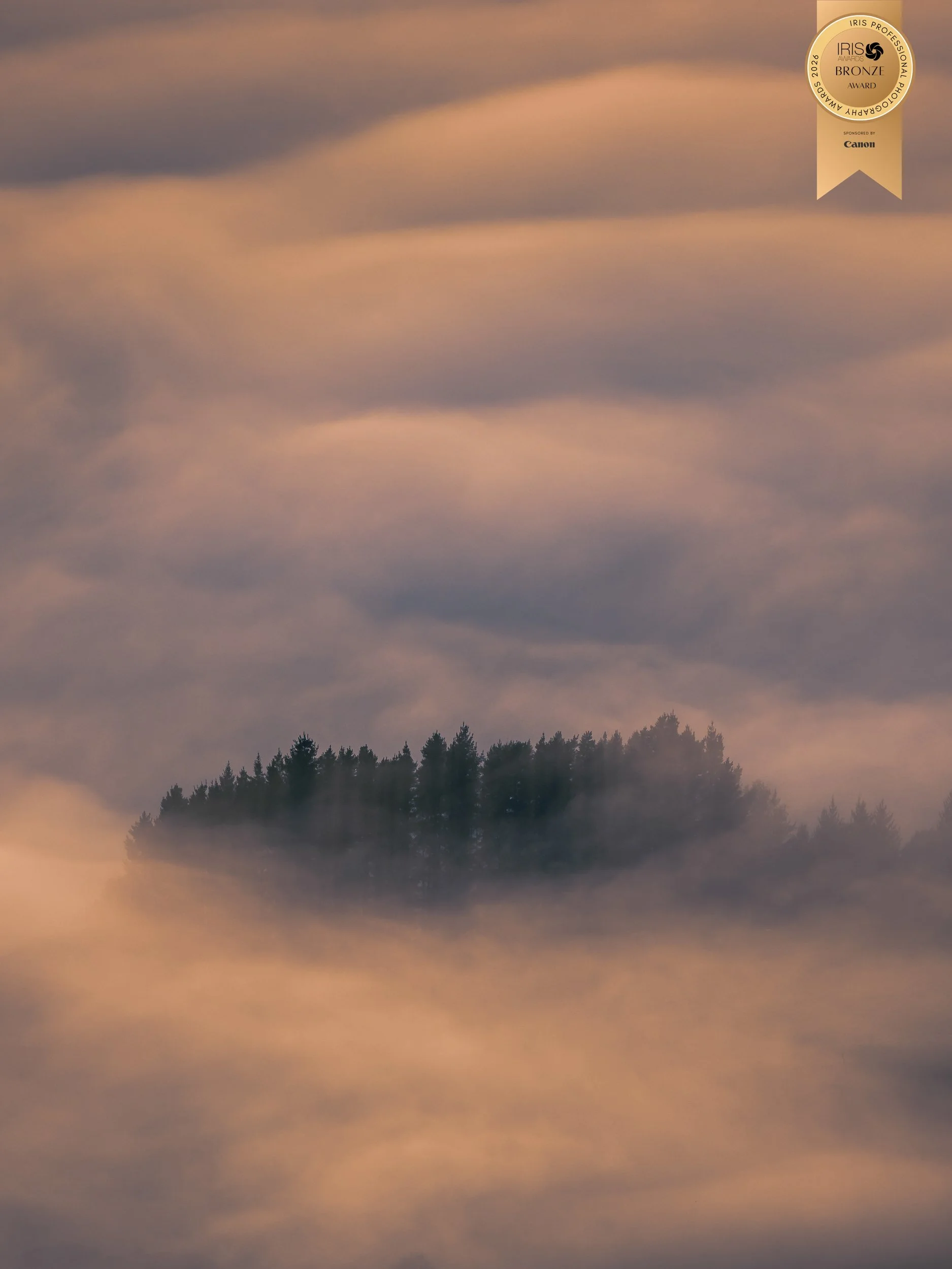 Landscape Category: Bronze