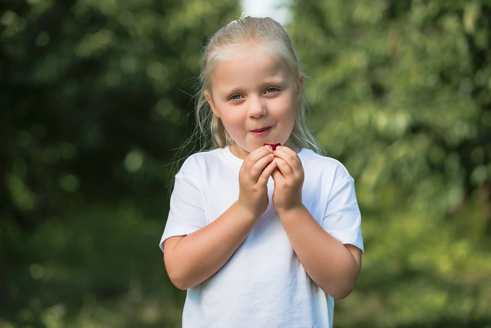 A young girl eating a fresh red cherry