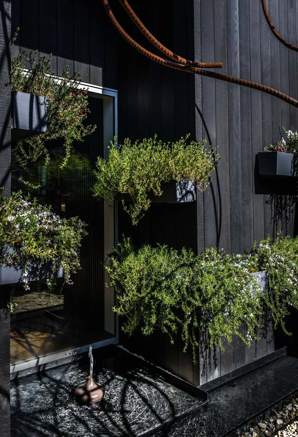 Water feature and planting at the MCL office outside area