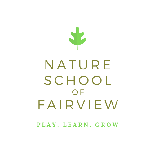 Nature School Fairview